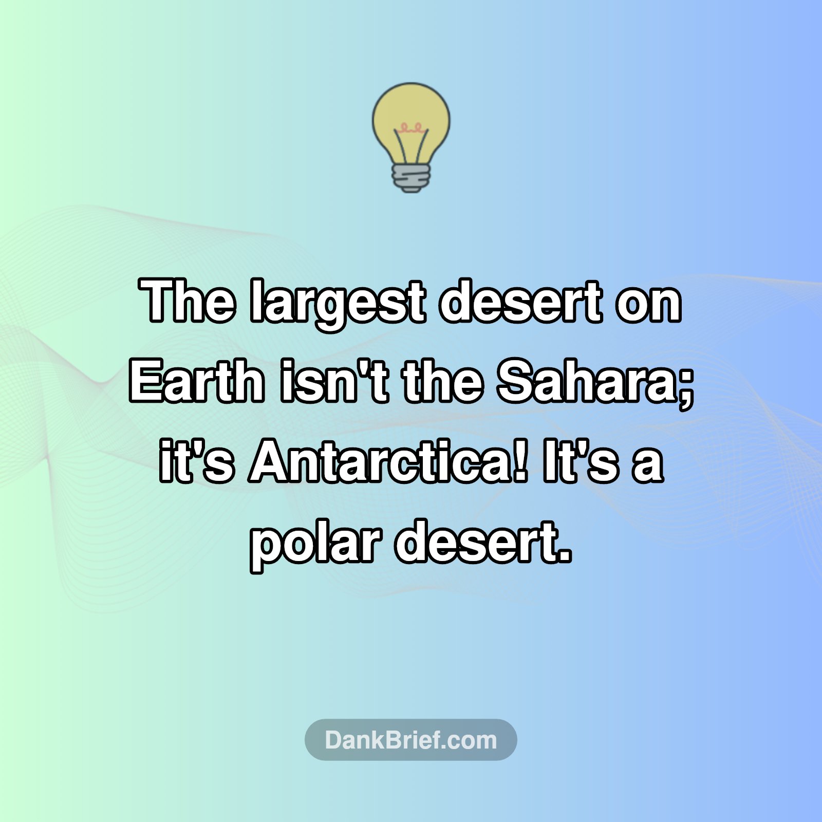 Desert Secrets: Not What You Think!