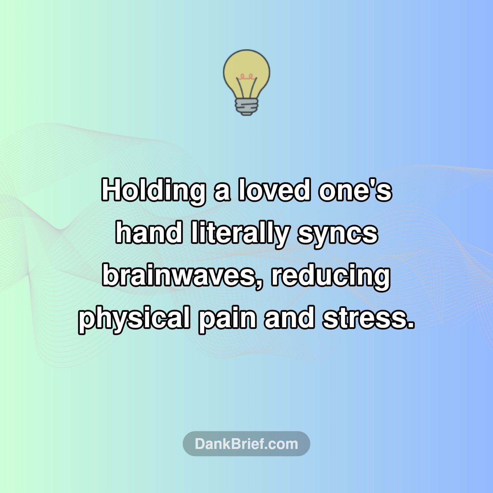 The Mind-Blowing Power of Holding Hands