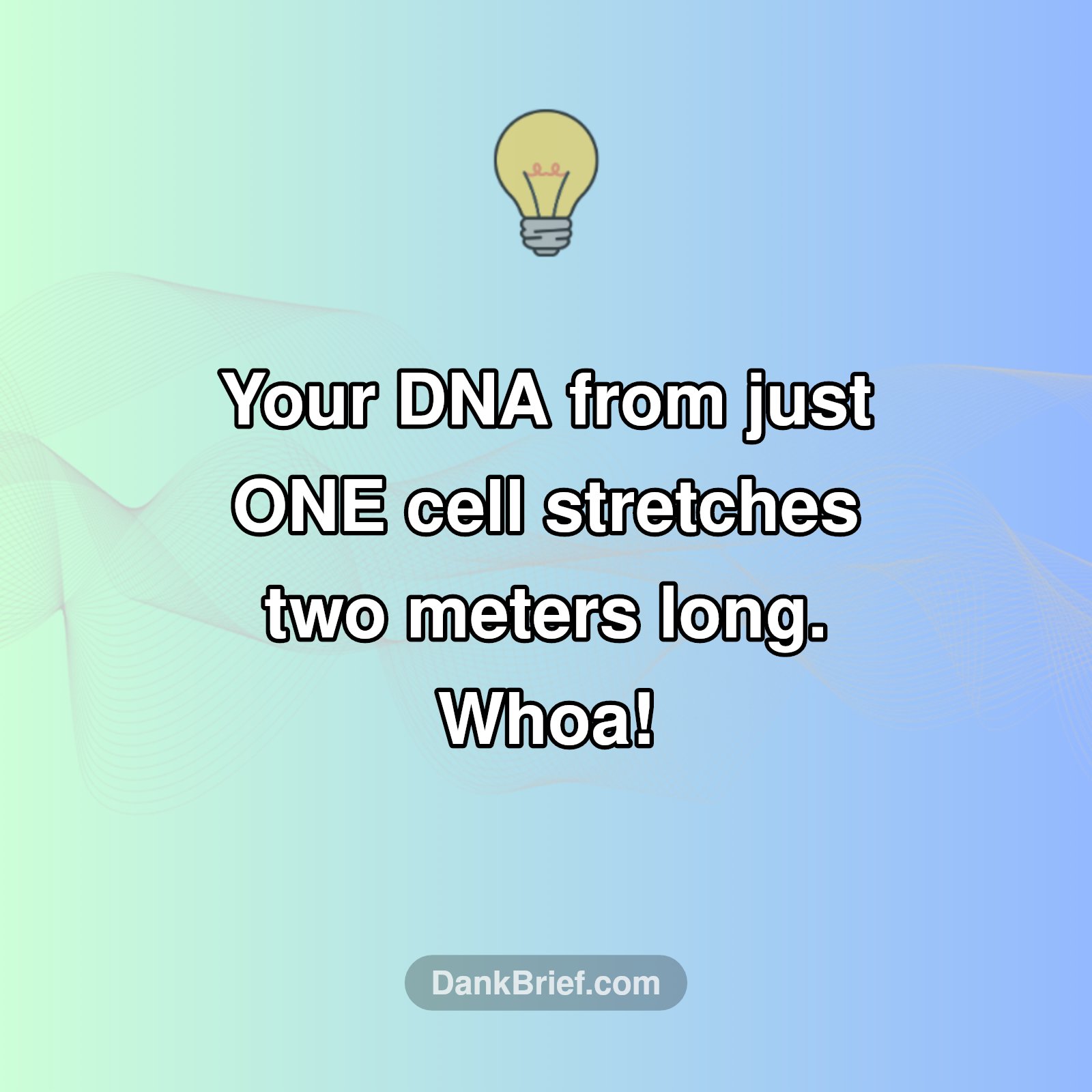 Your Body's Secret Super-Thread!