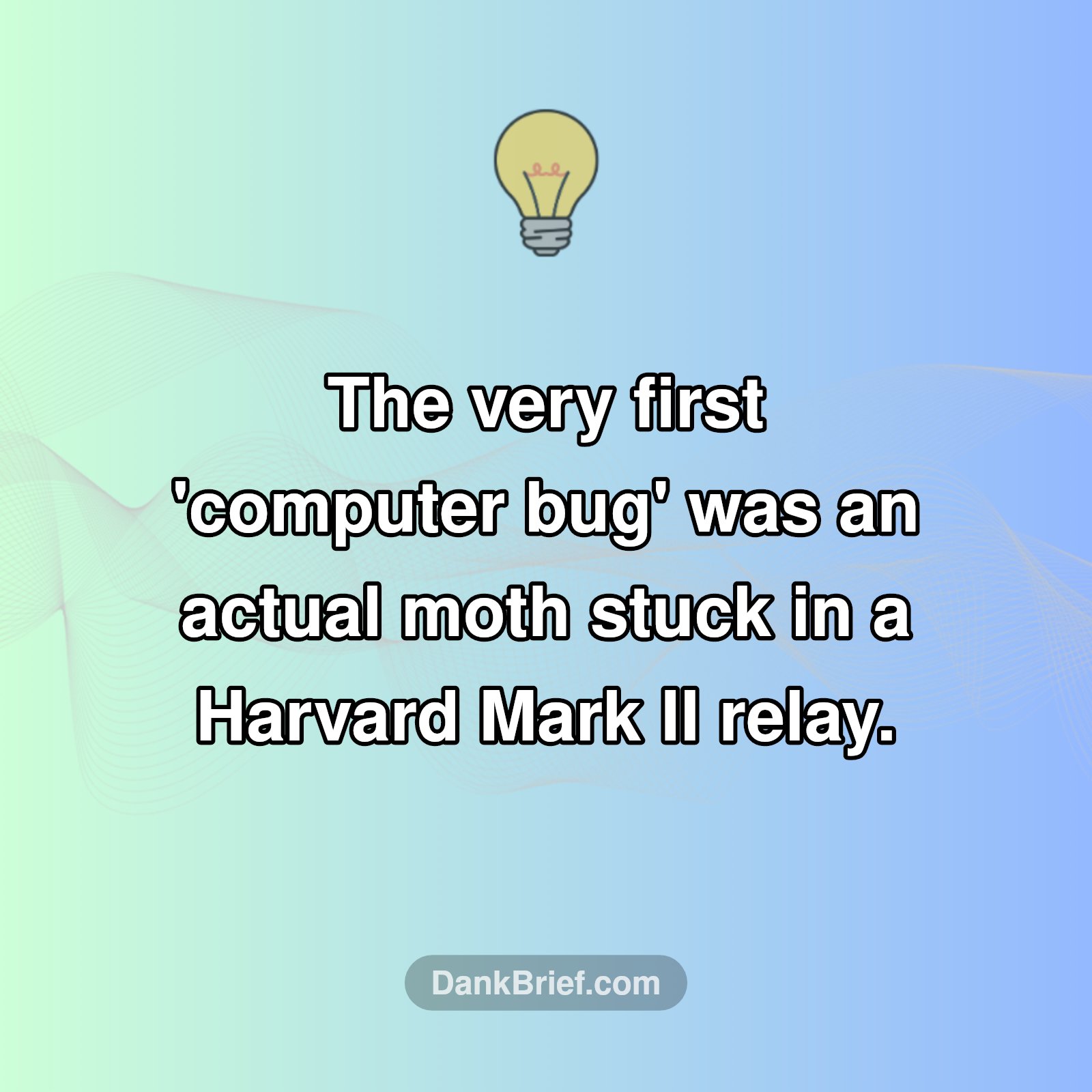 Bug's Origin Story: Literally!
