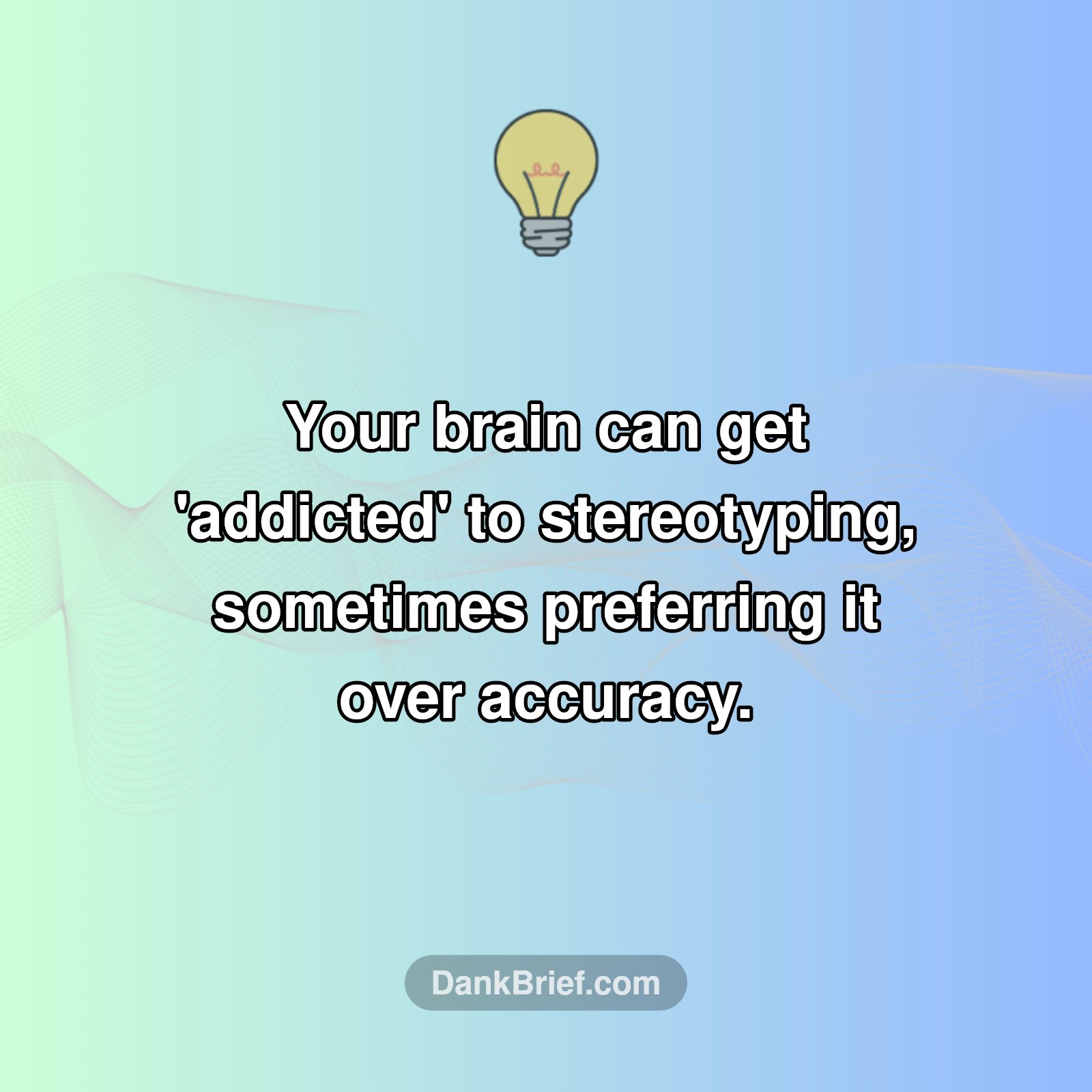 The Brain's Stereotype Habit