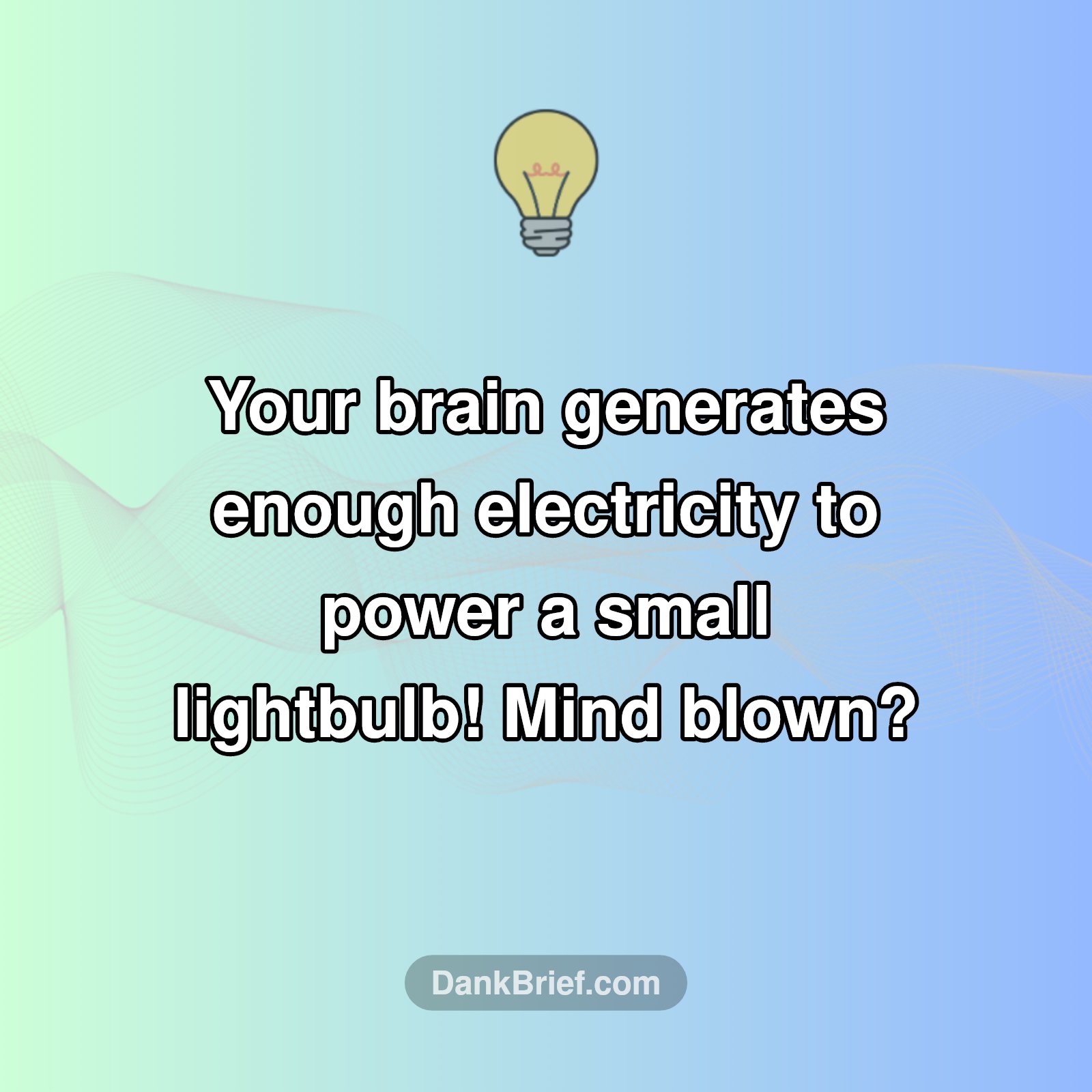 Your Brain's Secret Power!