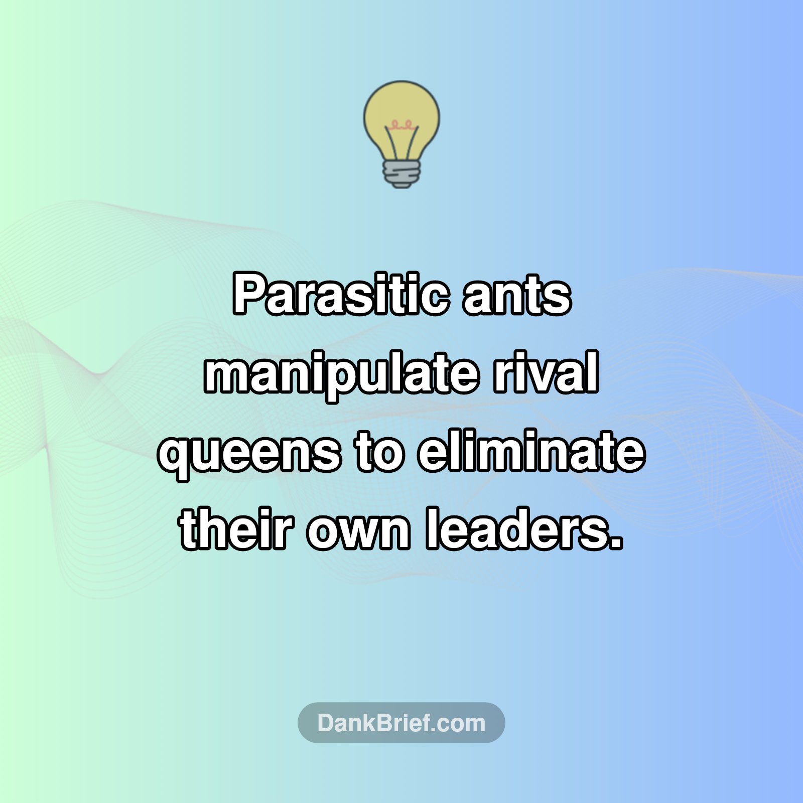 Ant Empires: The Dark Side