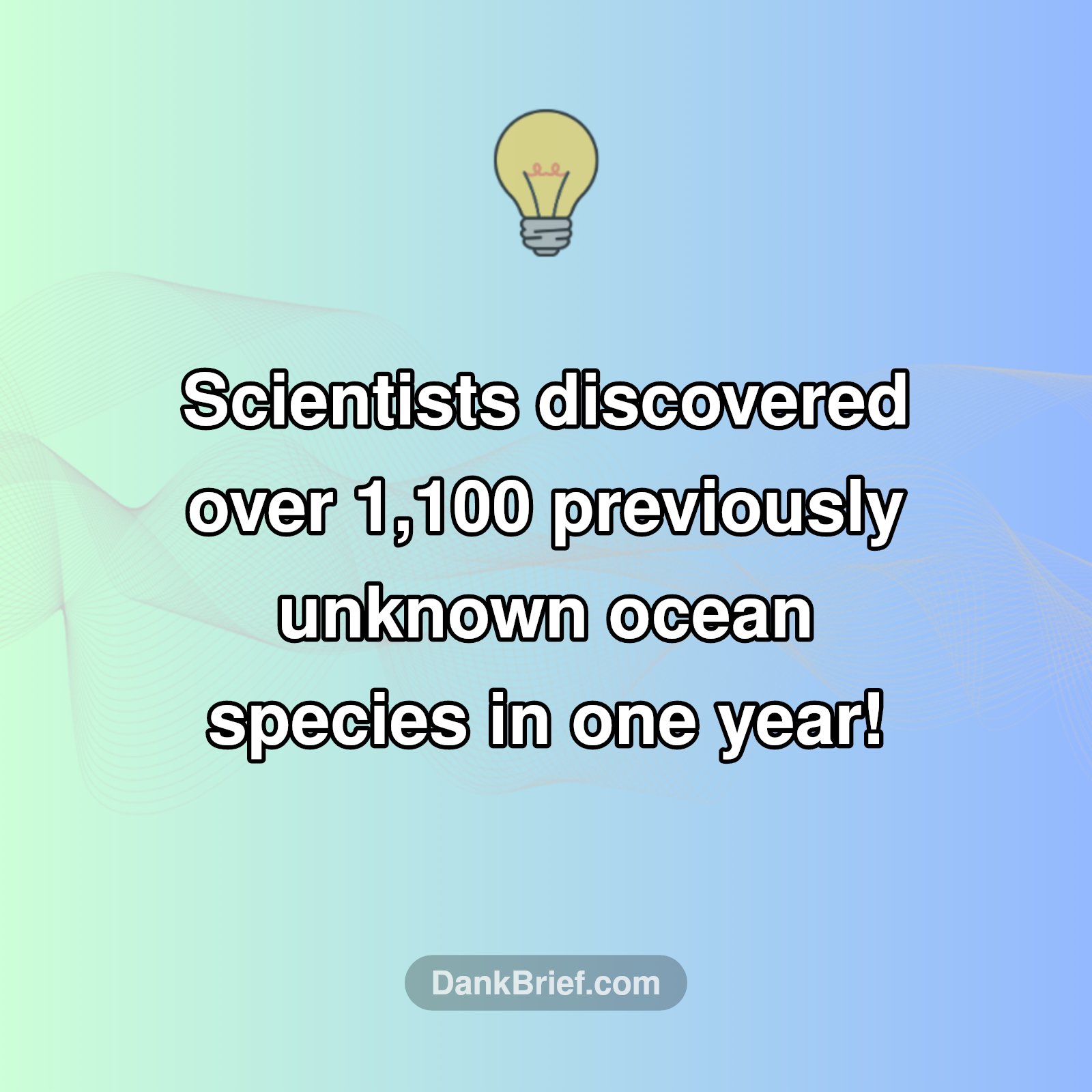 Ocean's Hidden Depths Revealed!