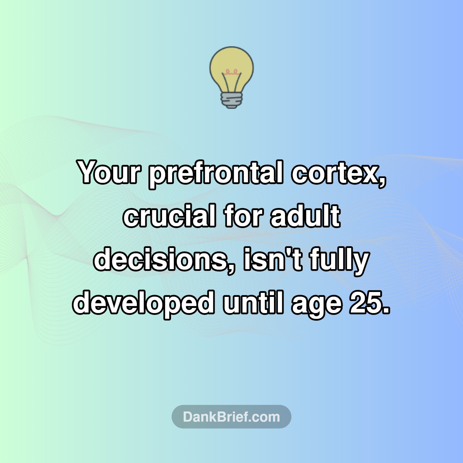 Your Brain Isn't Fully Adulting Yet!