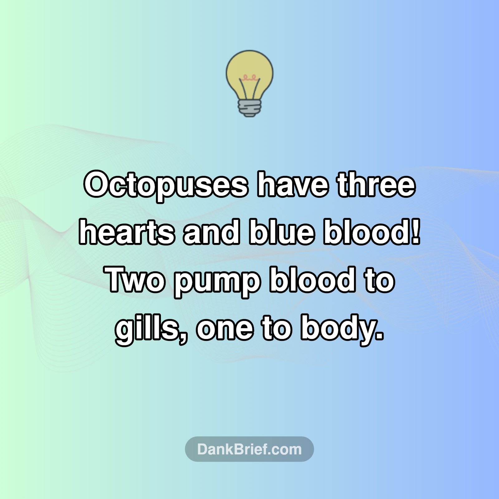 Three Hearts, No Cap!