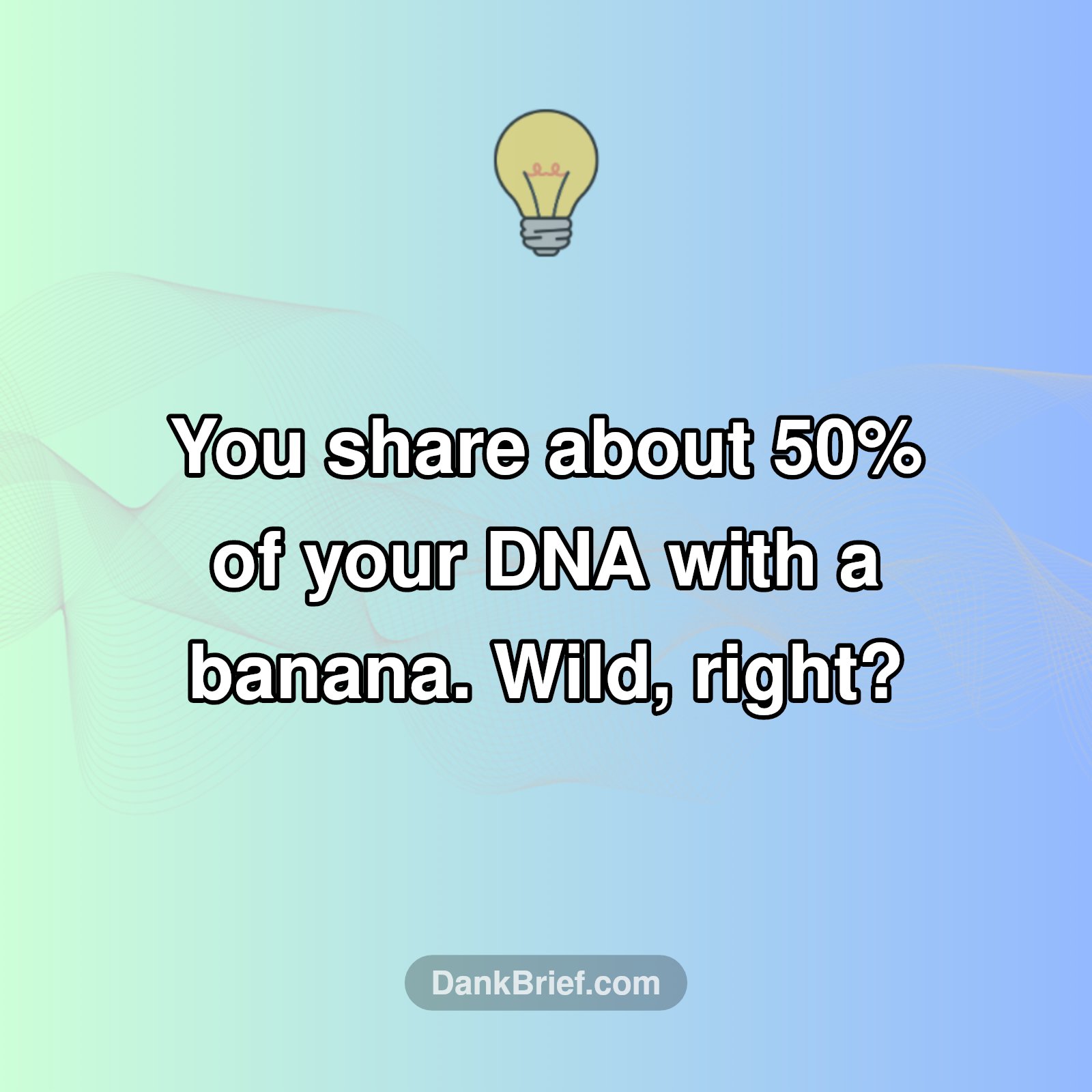 You're Basically a Banana! 🍌