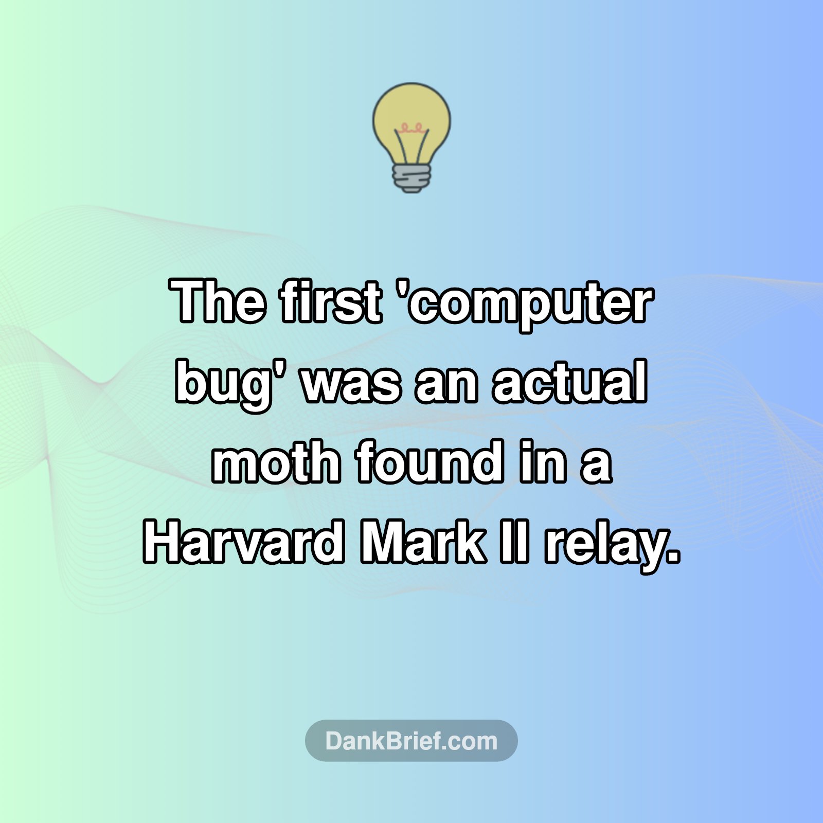 OMG, a REAL Computer Bug?!