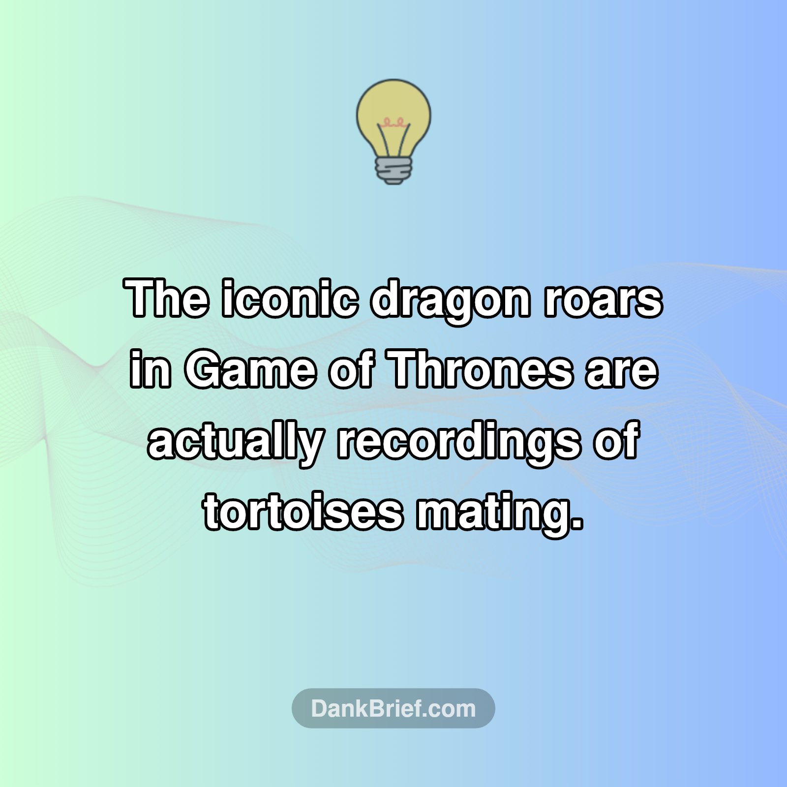🐉🤯 Dragon Roars? Think Again!