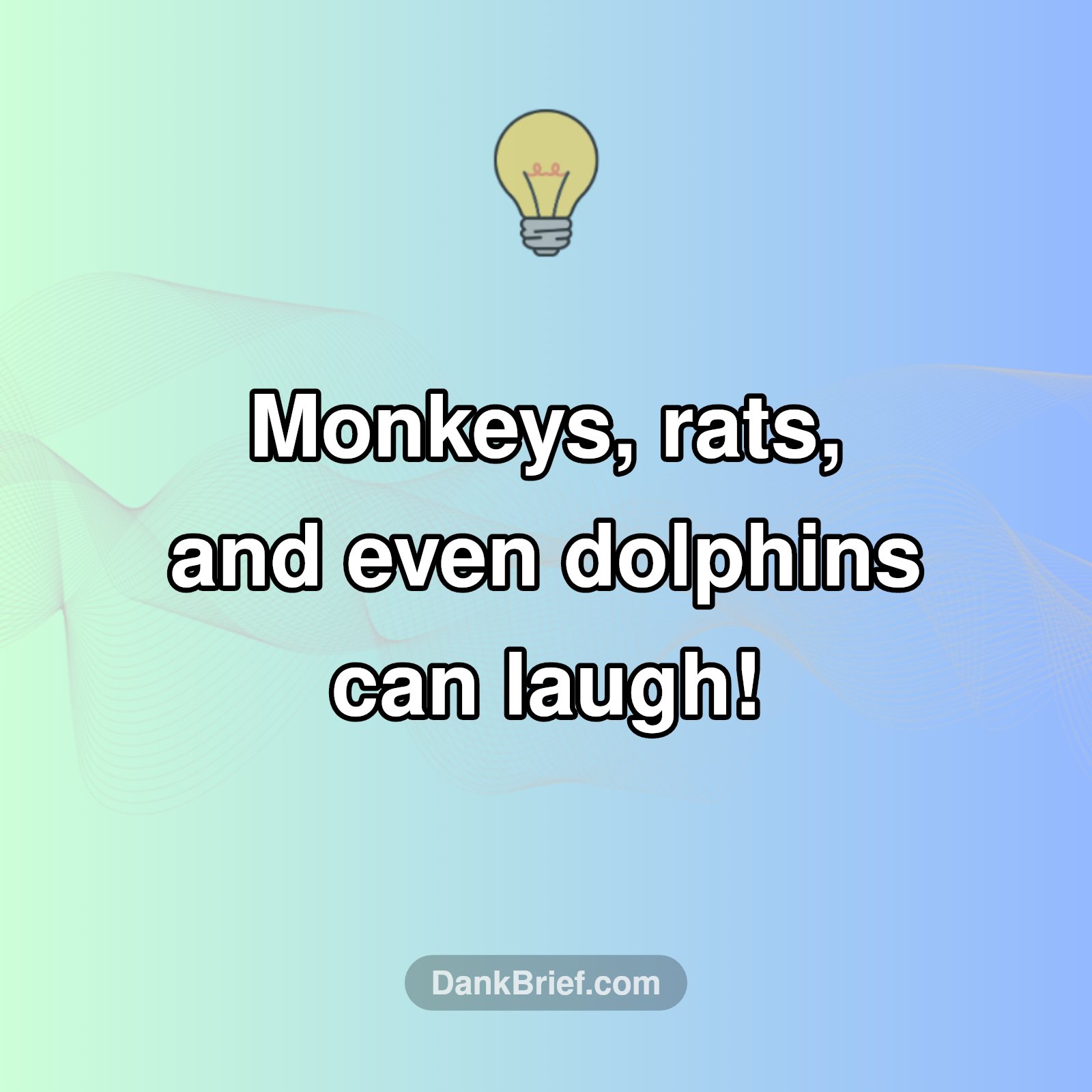 Unexpected Giggles in the Animal Kingdom