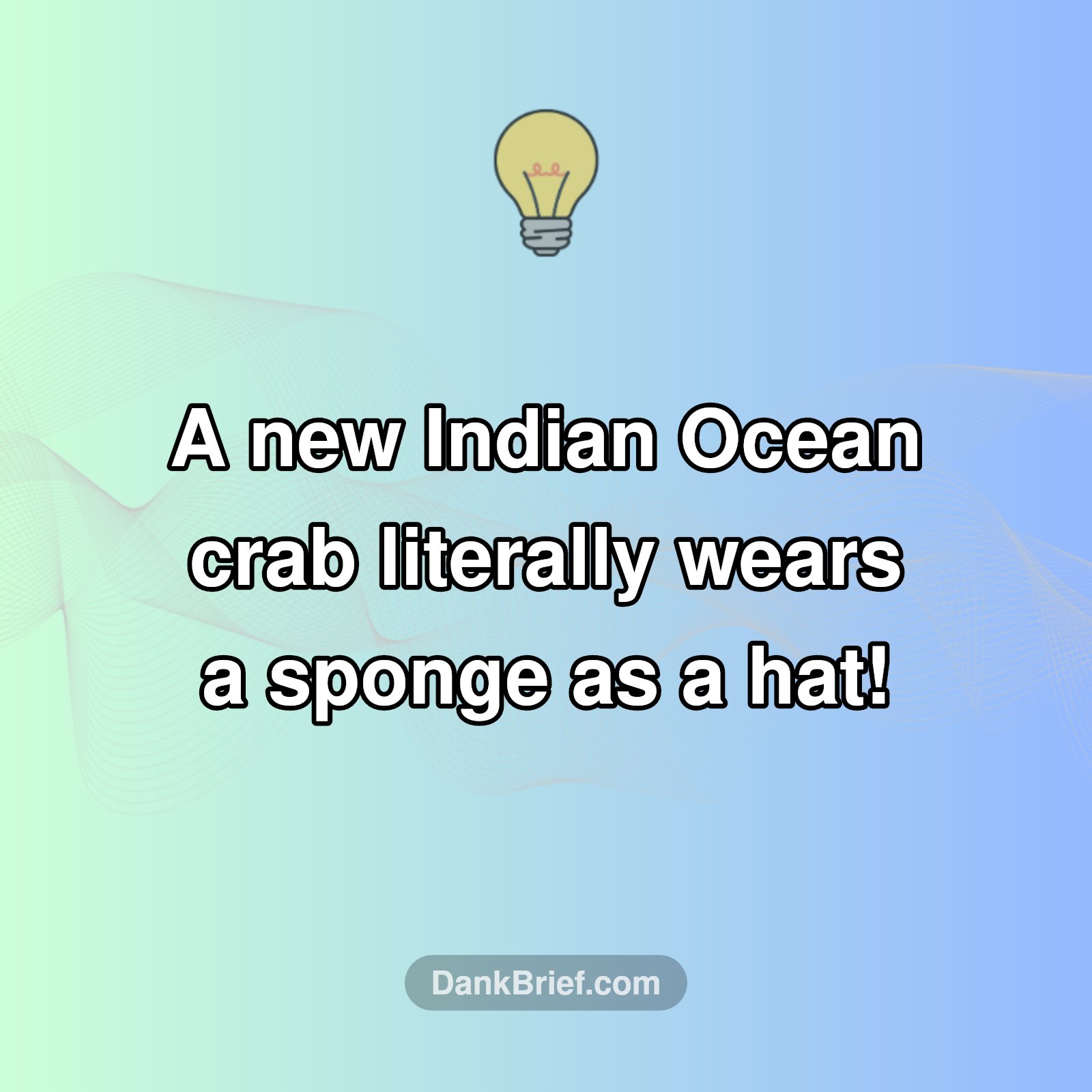 Ocean's Quirky Hat Fashion