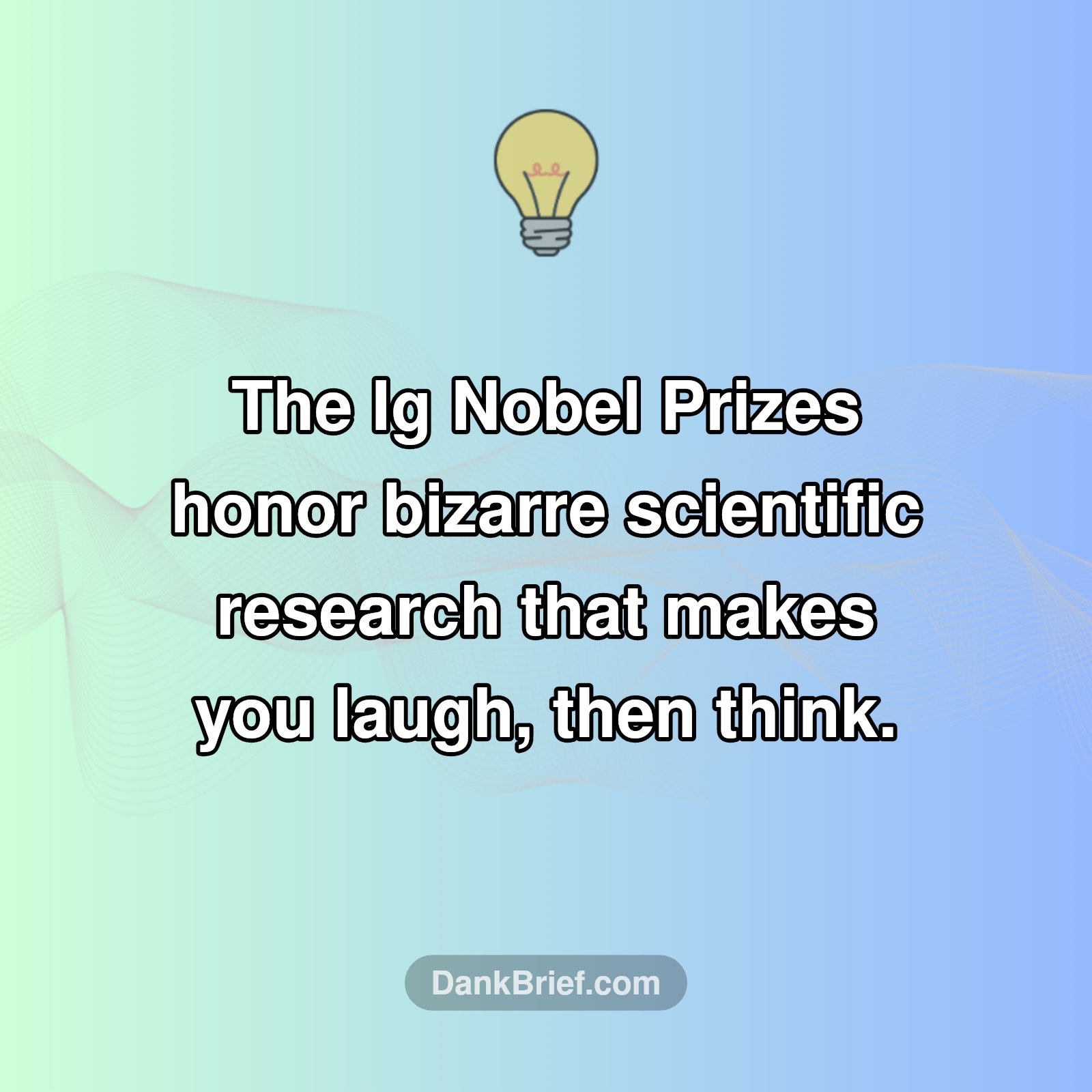 Science's Wildest Discoveries: The Ig Nobel Awards!