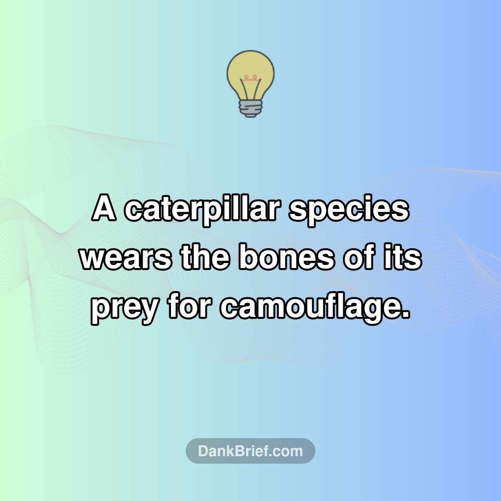 Nature's Spookiest Disguise!