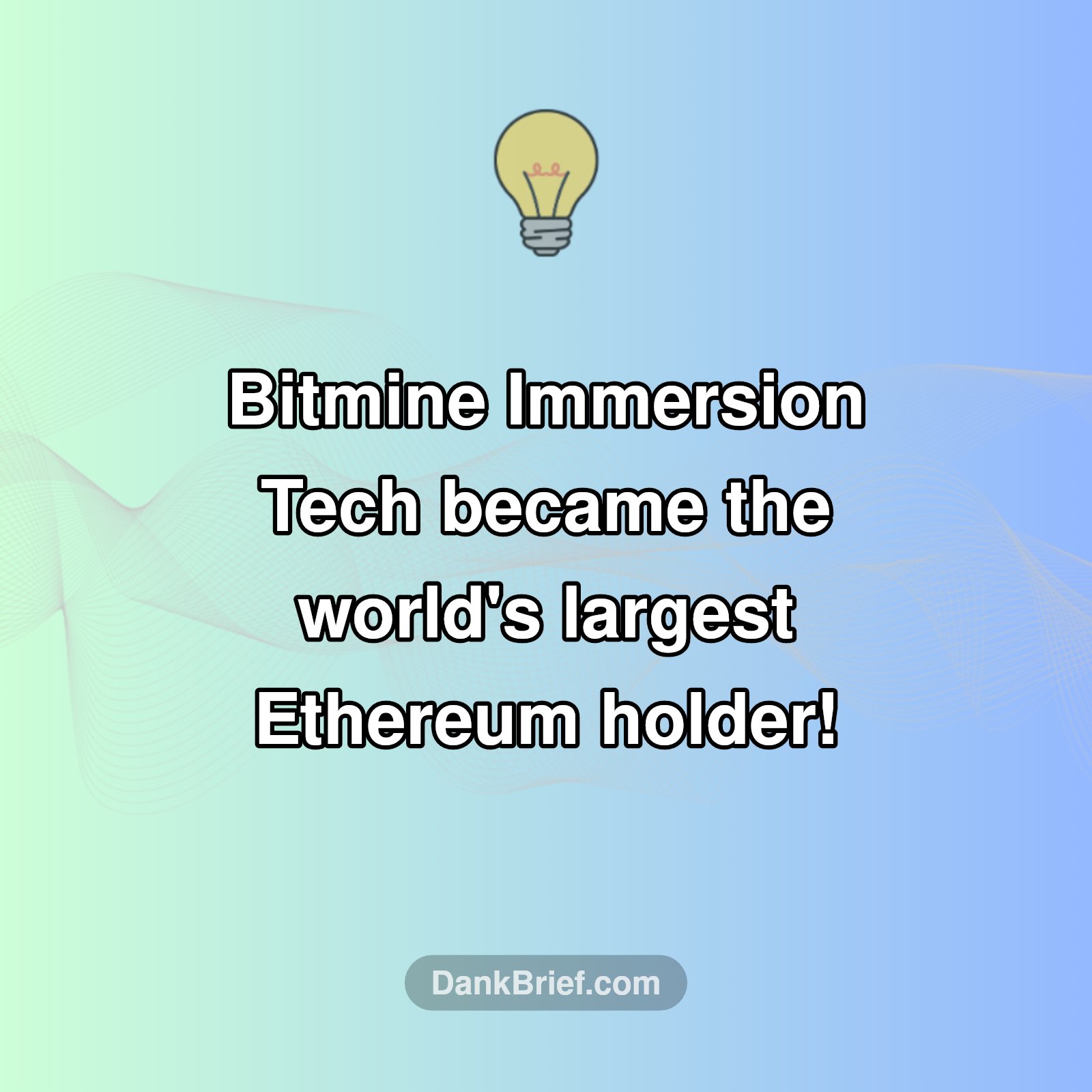 Who Holds the Most Ethereum?