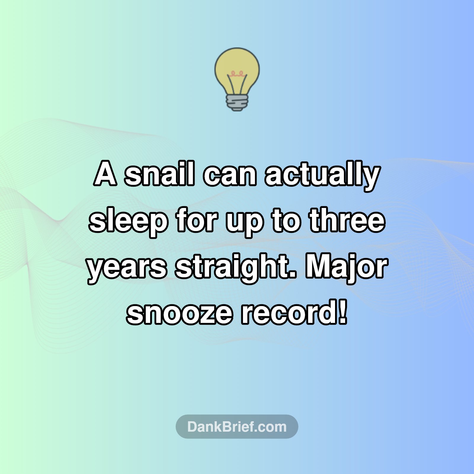 Seriously Long Nap Goals!