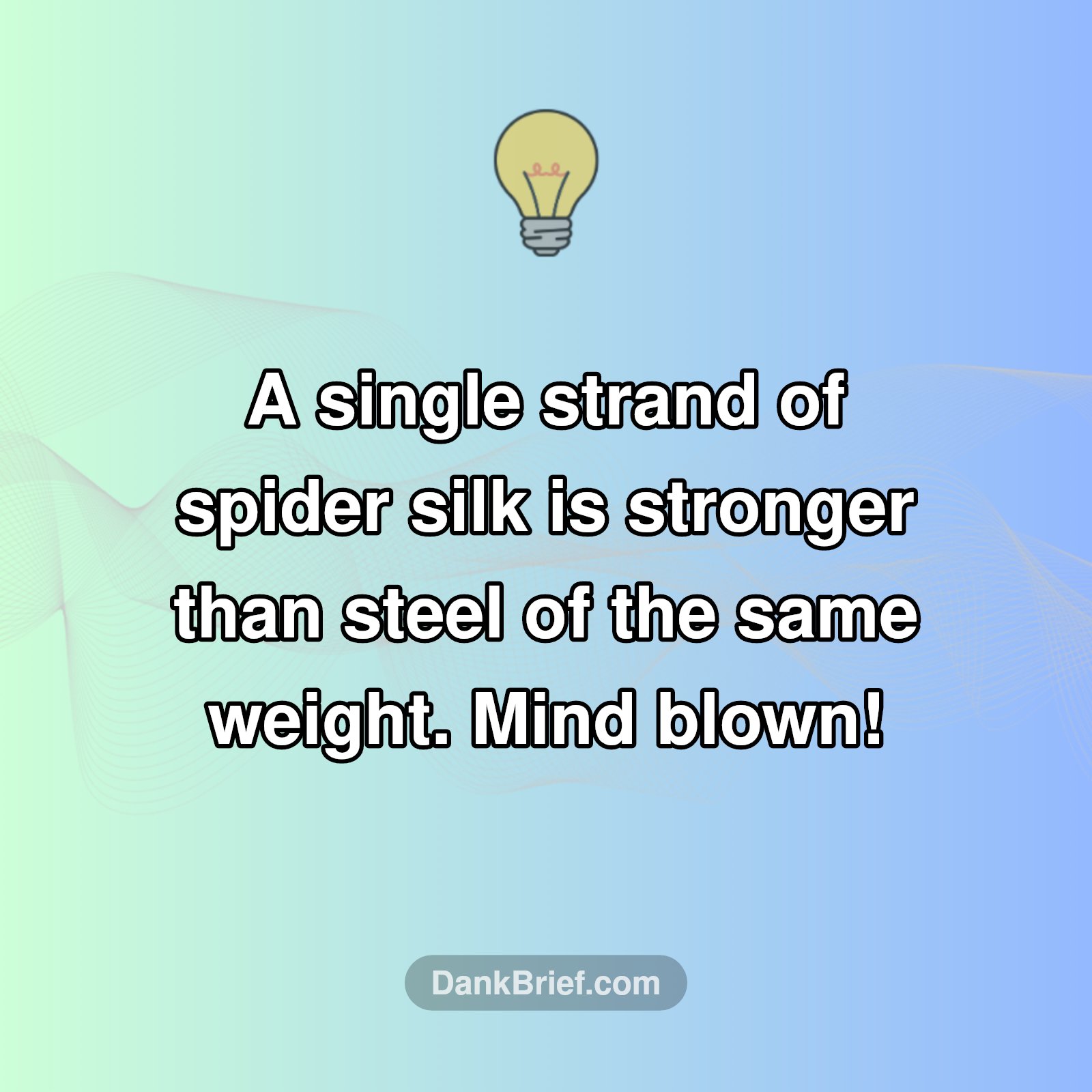 Nature's Super-Material!
