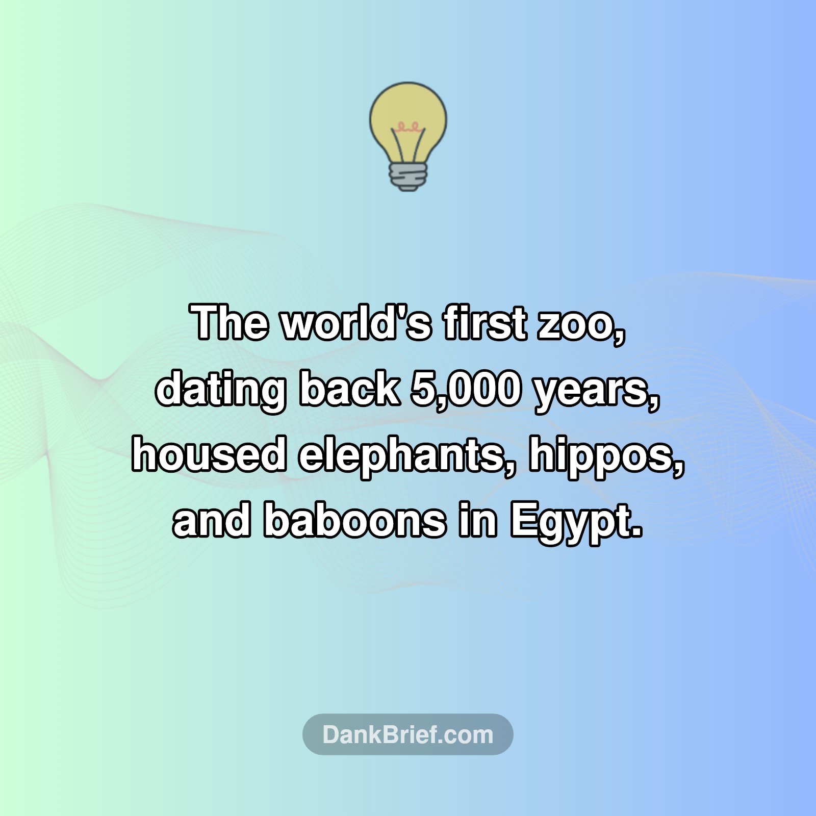 Ancient Animal Kingdom!