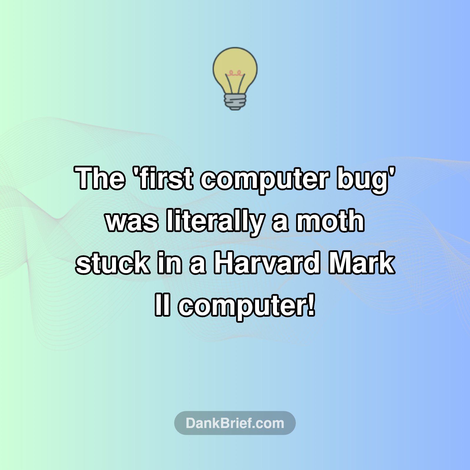 Bug's Life, But Make It Tech!