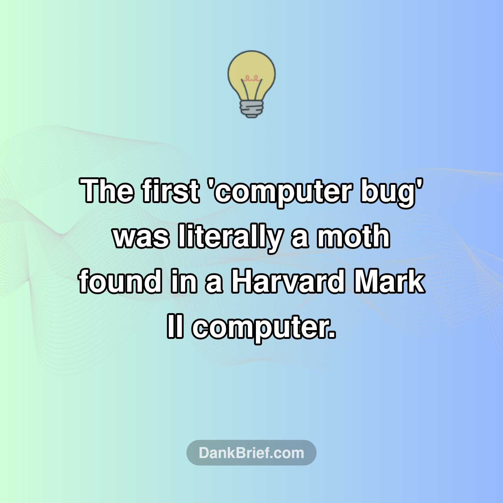 Ever Wonder Where 'Computer Bug' Came From?