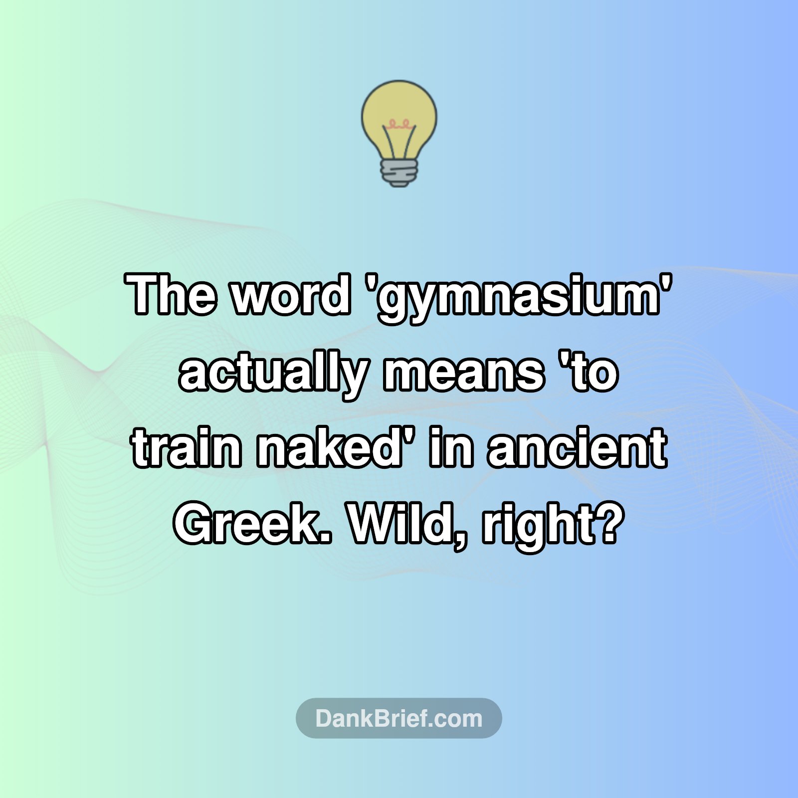 Gym History Uncovered!