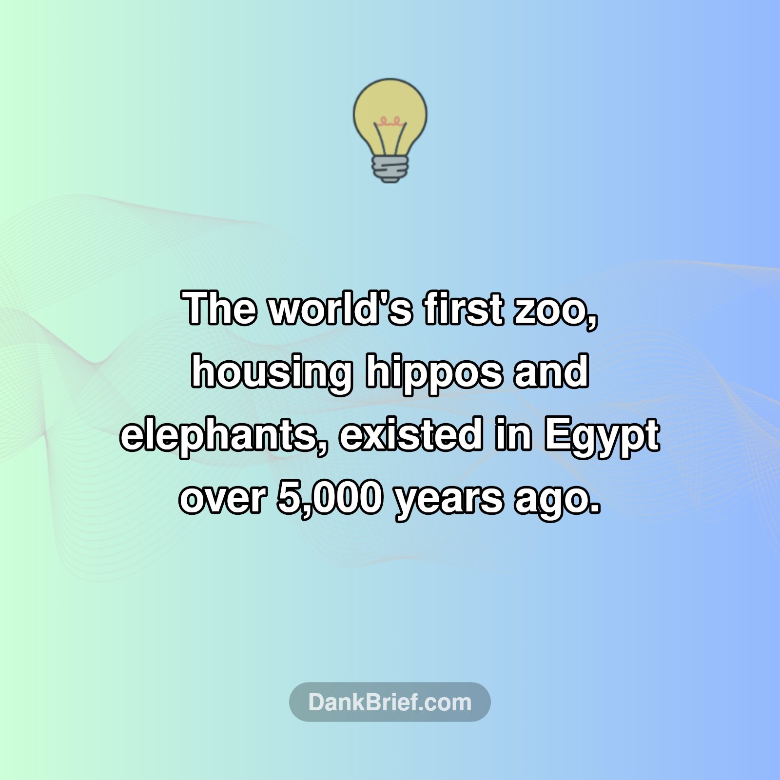 Ancient Egypt's Wild Side!