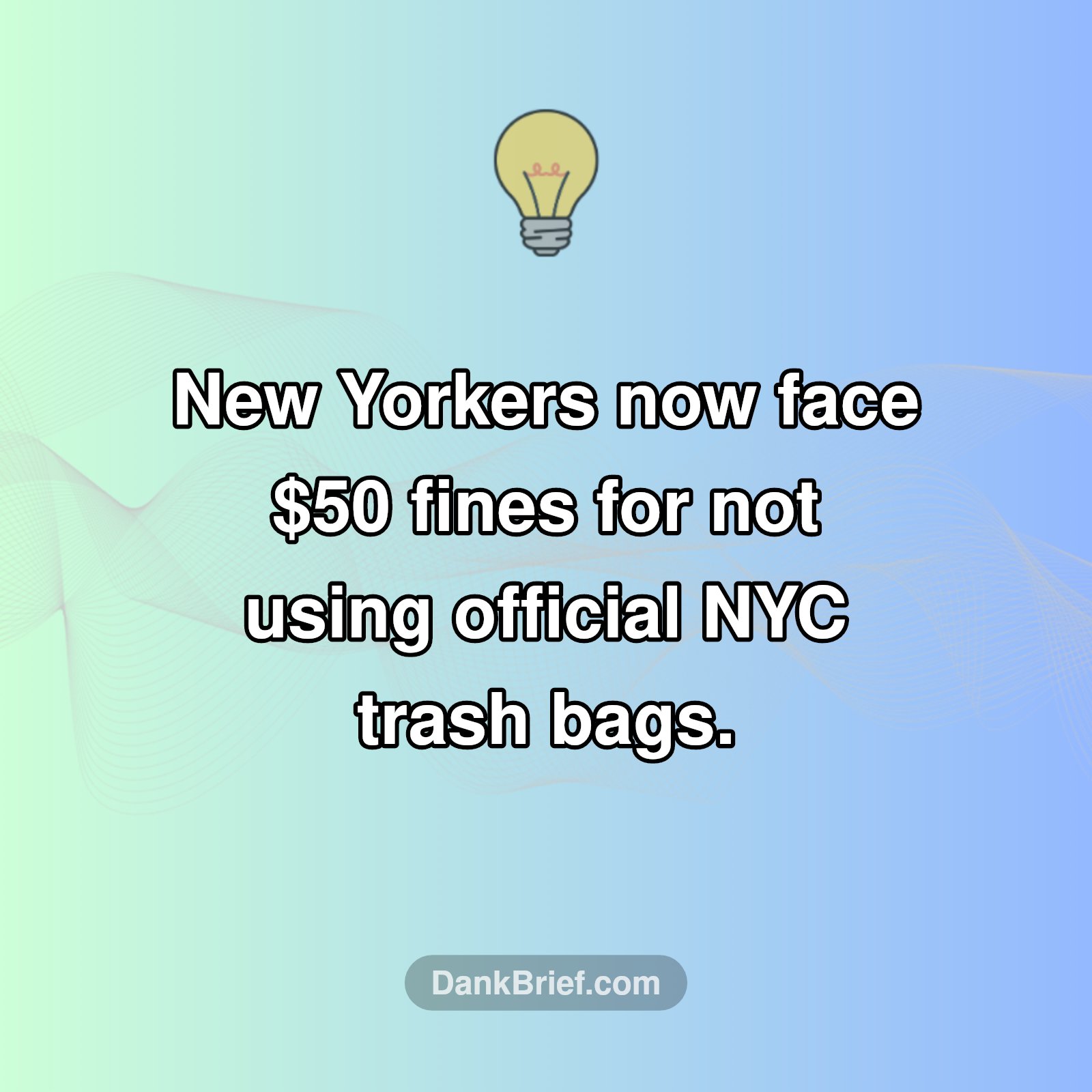 NYC's New Trash Rules