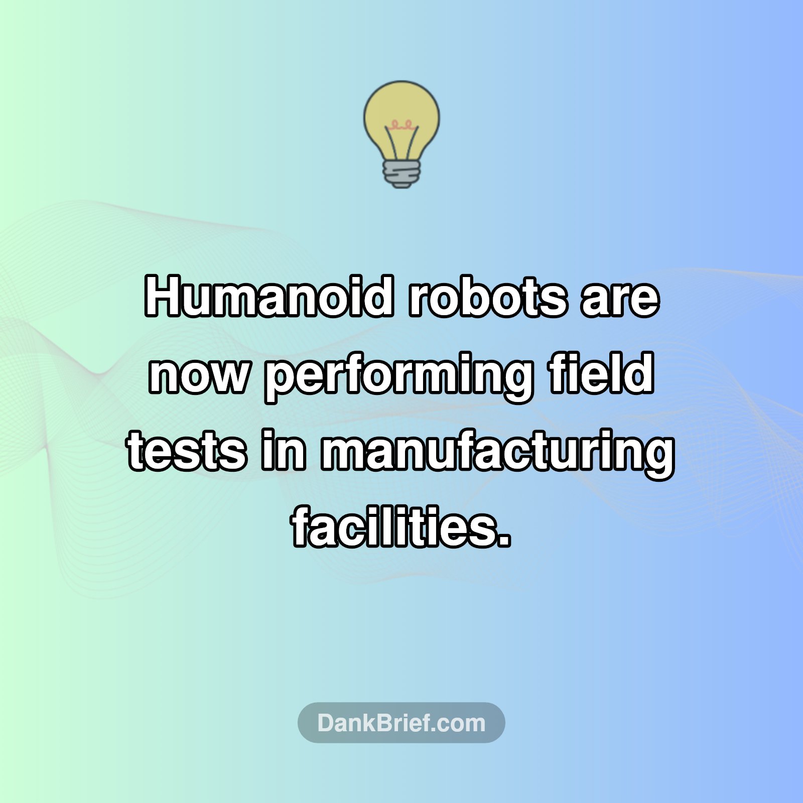 Robots in the Real World
