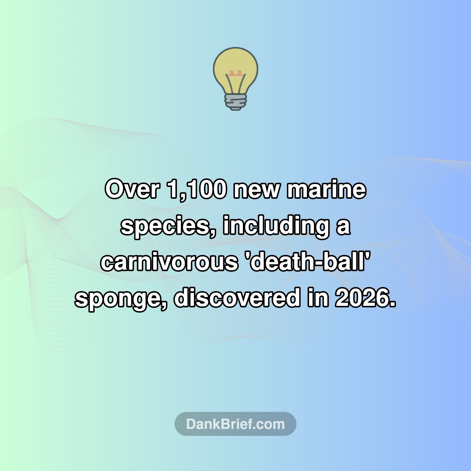 Ocean's Hidden Life Revealed