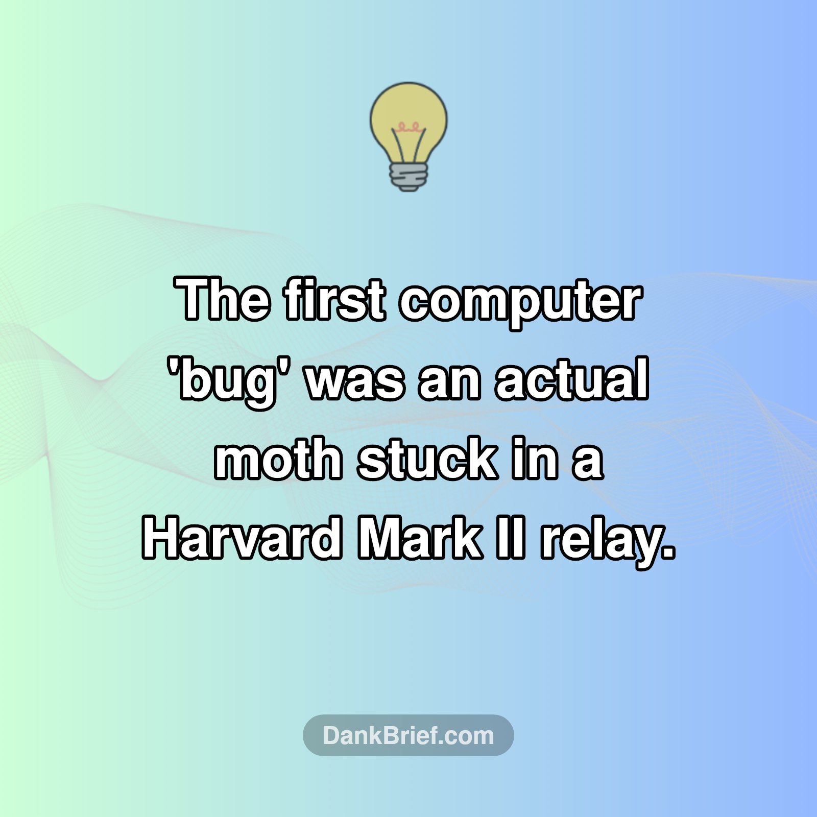 Mind Blown: The OG Computer 'Bug' Was Literal!