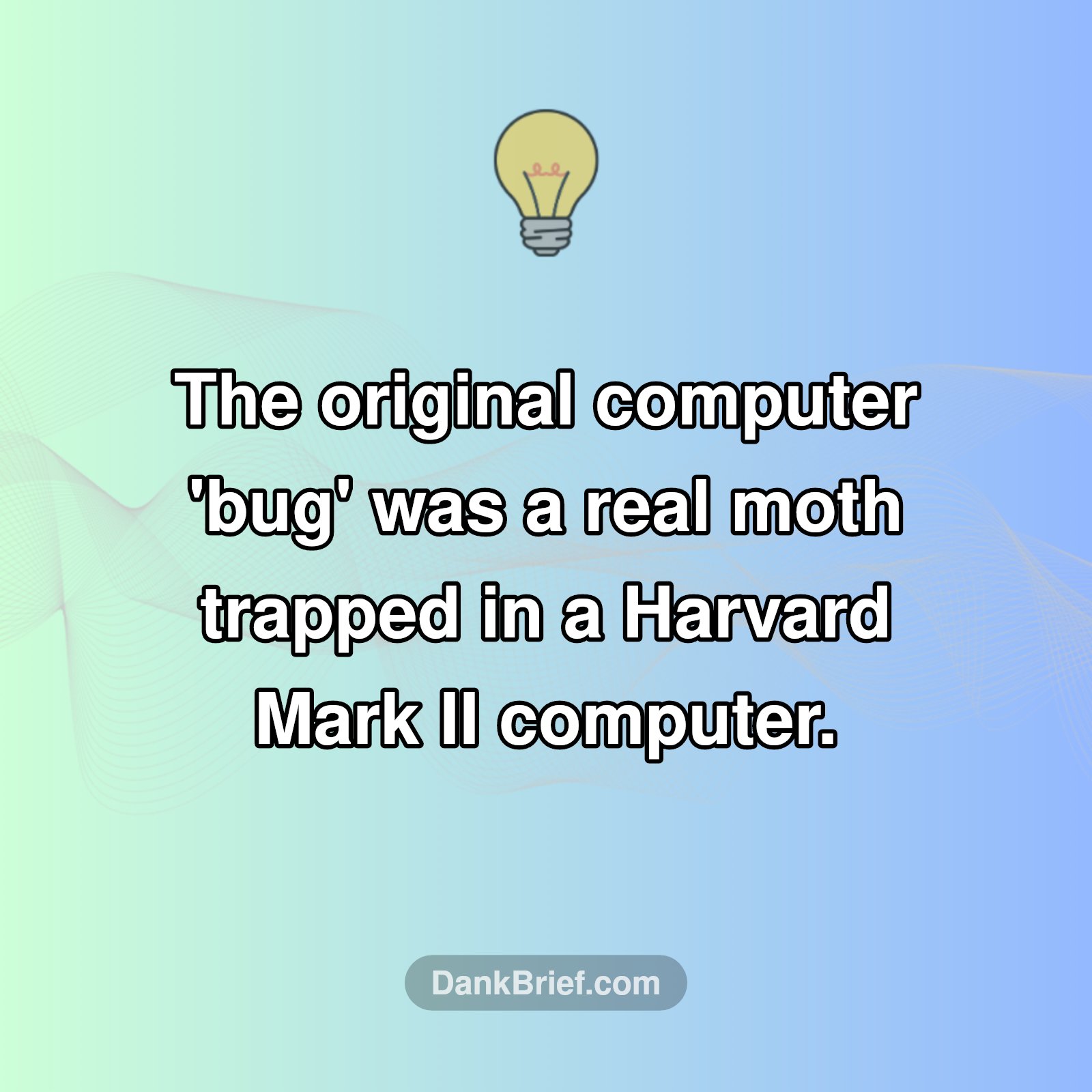 The OG Computer Bug Was a REAL Bug?!