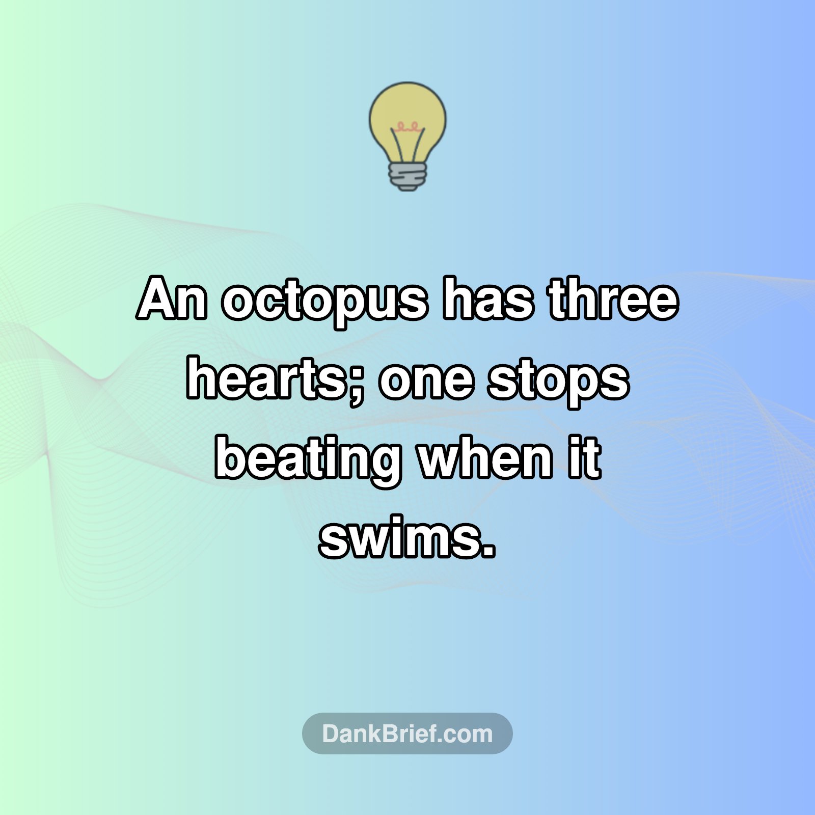 Oceanic Organ Overload!