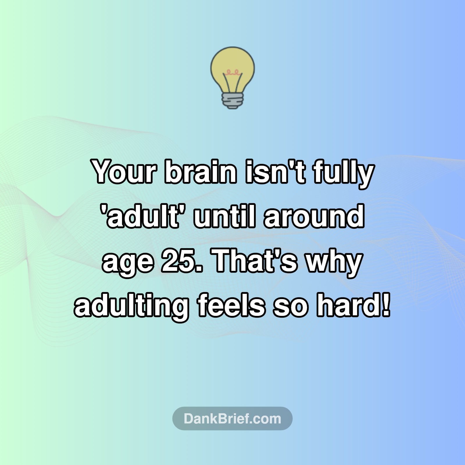 Mind Blown: Your Brain Isn't Fully Adult Yet!