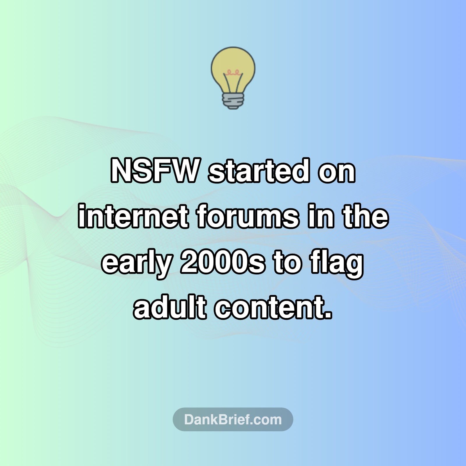 The OG Warning: NSFW's Origin Story!