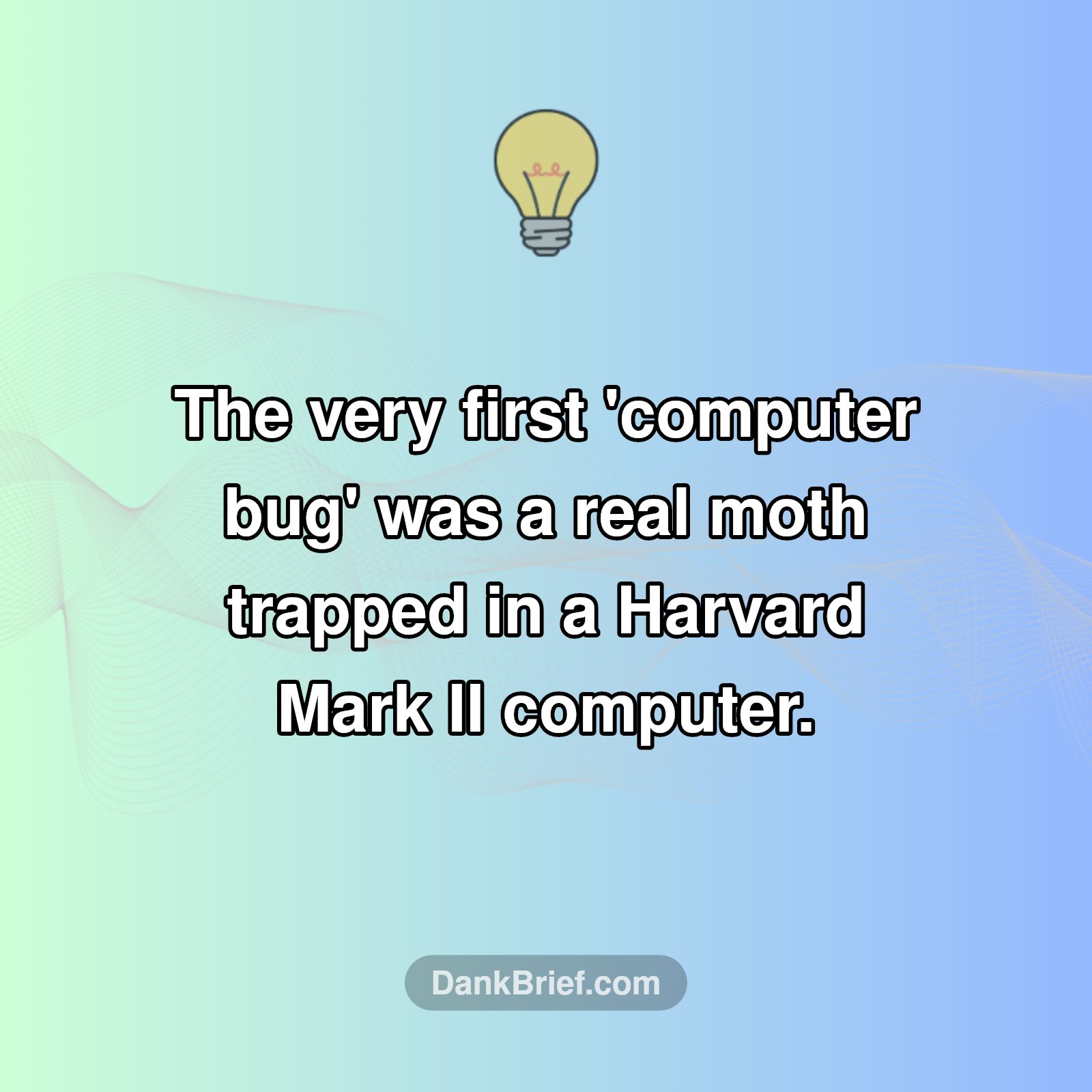The OG Computer Bug Was Literal!