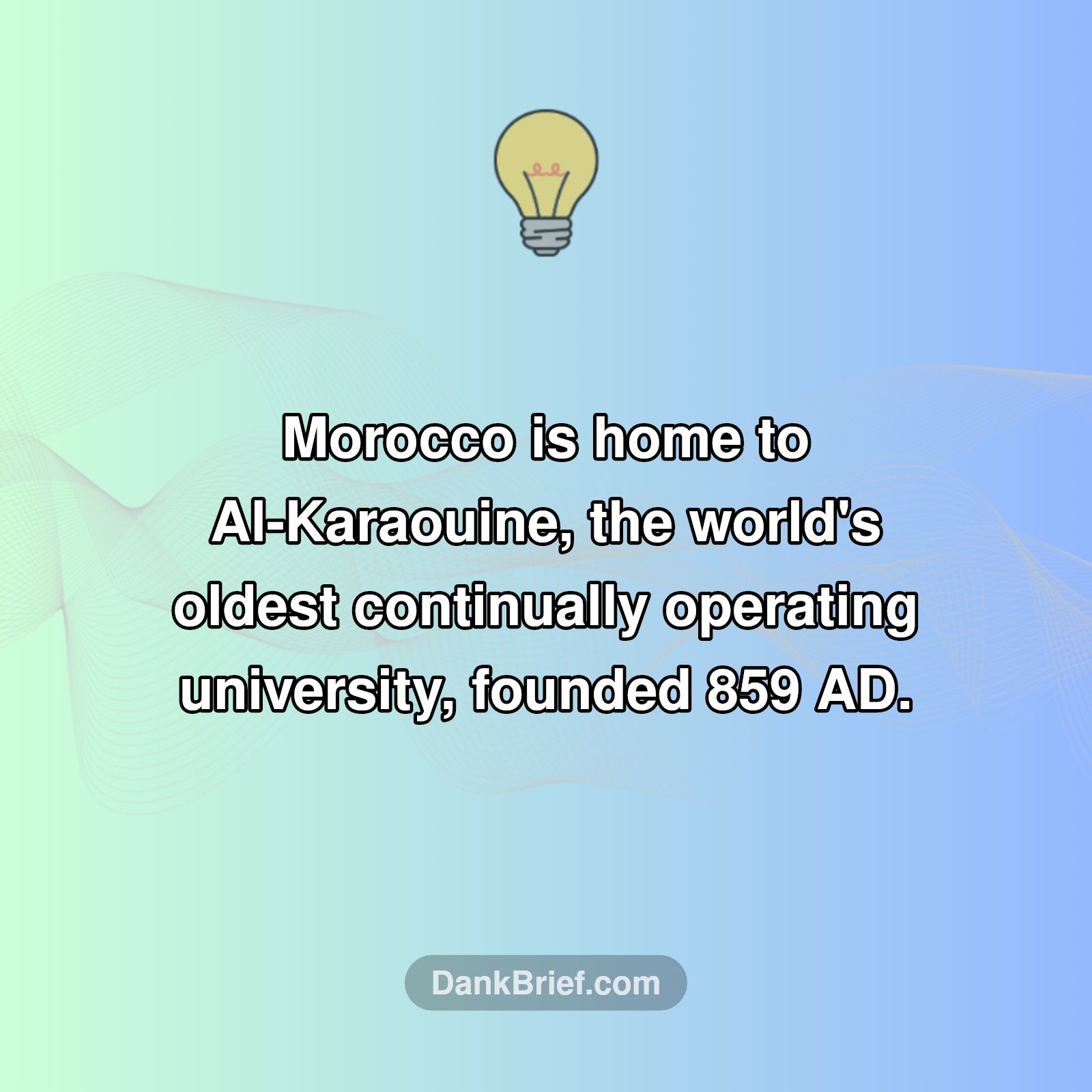 Mind Blown: Morocco's Ancient University!