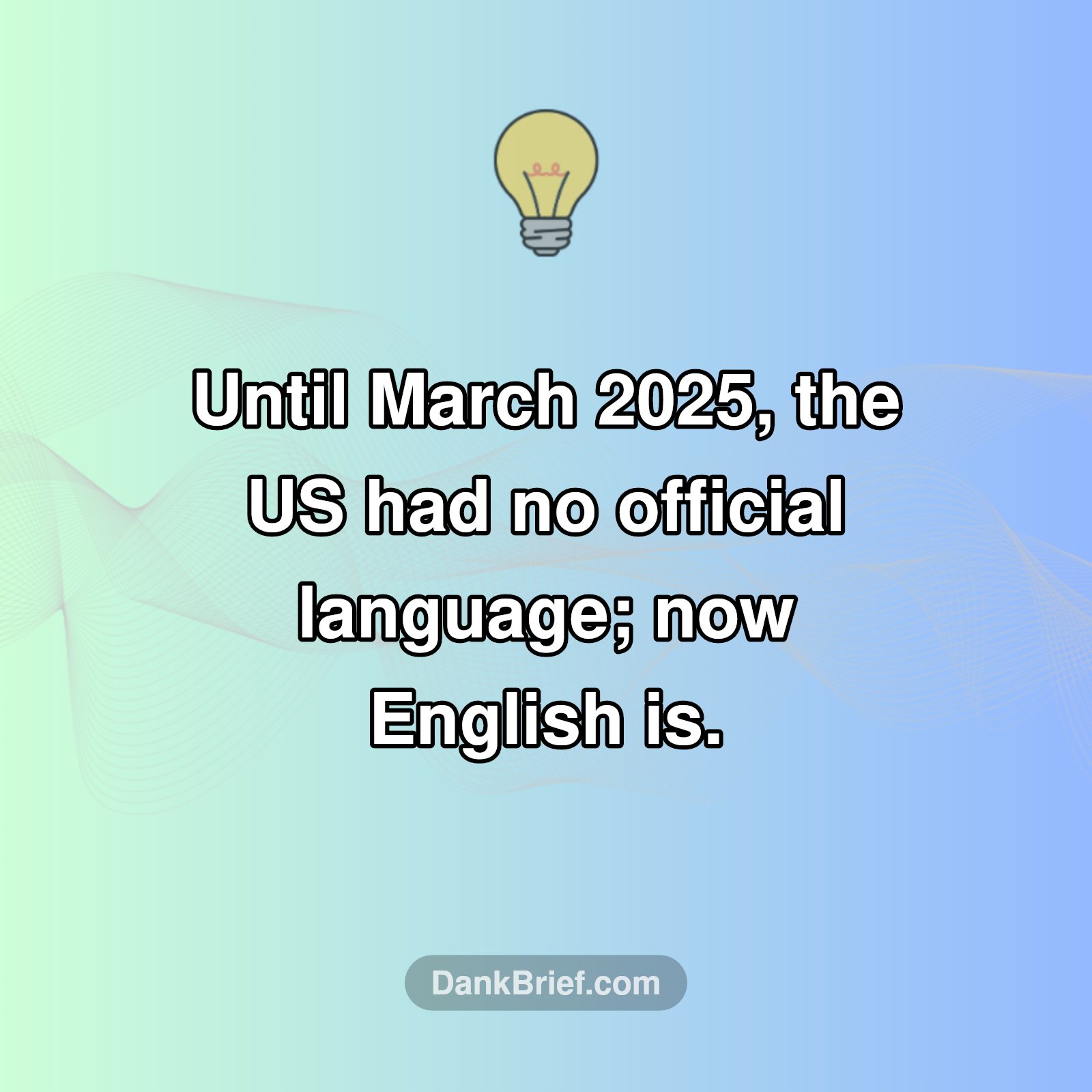 🤯 The US's Official Language Secret!