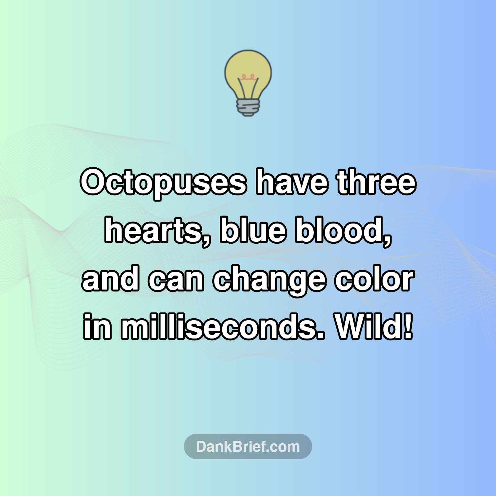 Mind BLOWN: Octopuses Are Basically Aliens?!