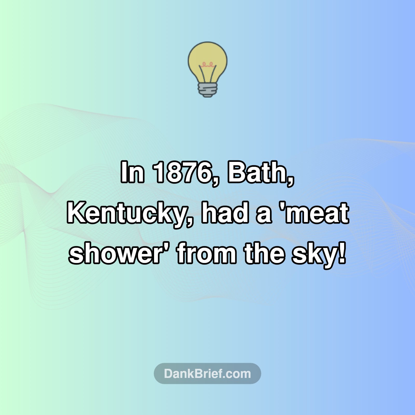 WTF Kentucky? A Real-Life Meat Shower!