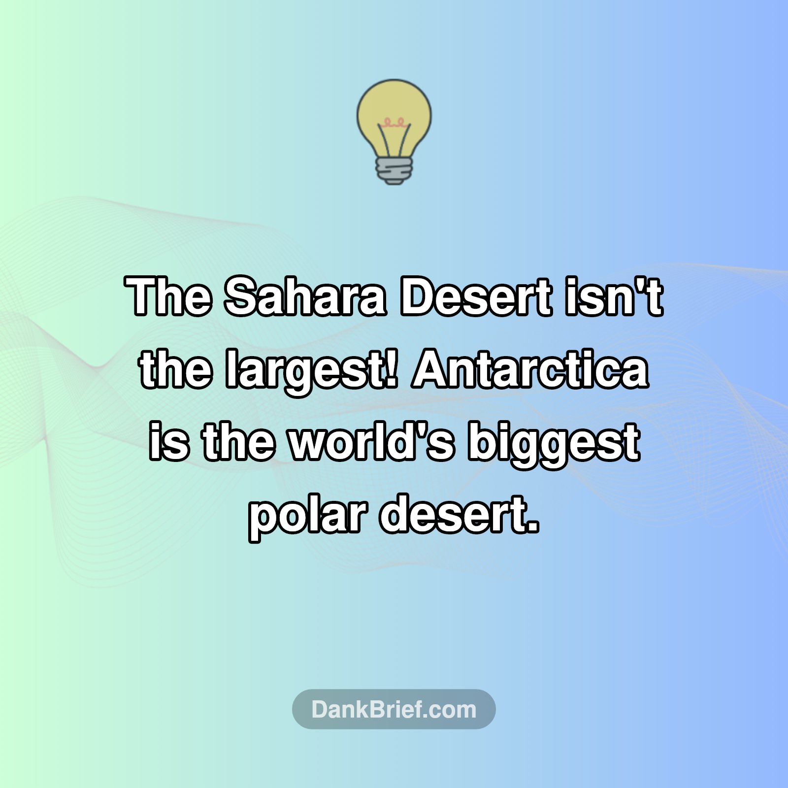 Desert Domination Shocker!