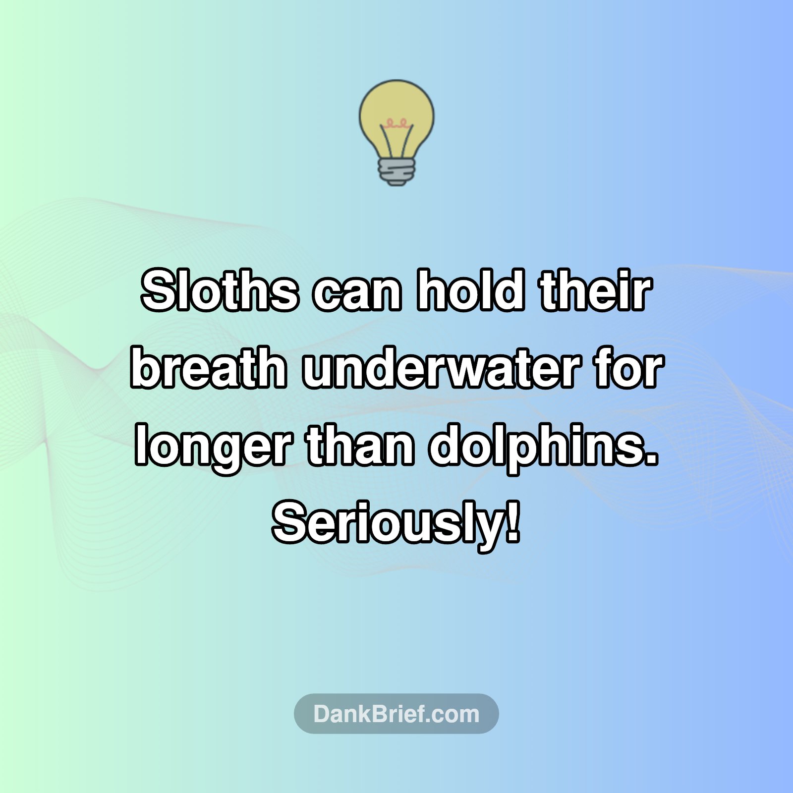 Mind Blown: Sloth Edition!