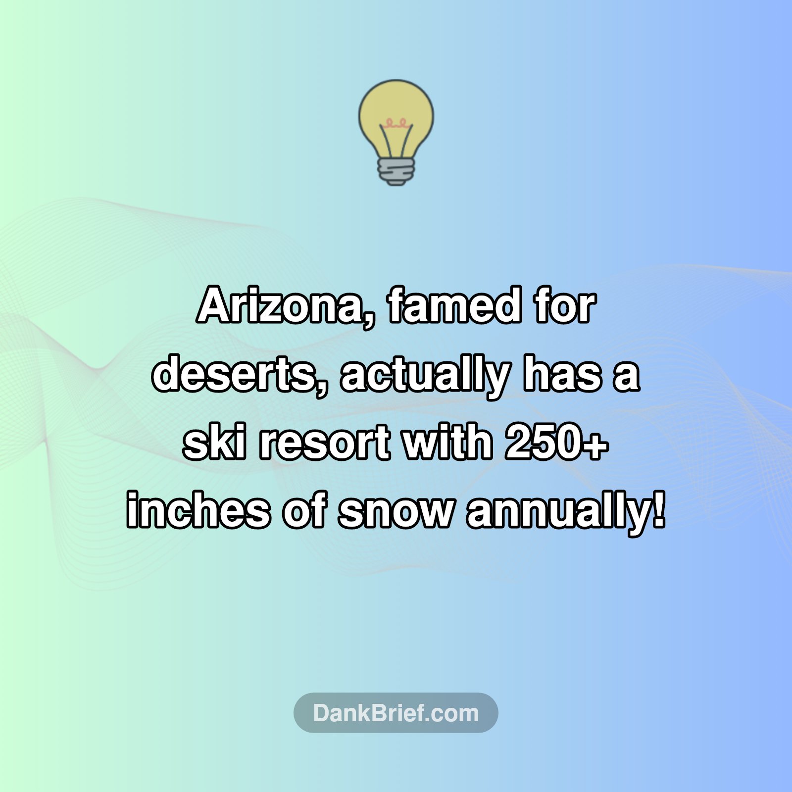 Desert State? Think Again!