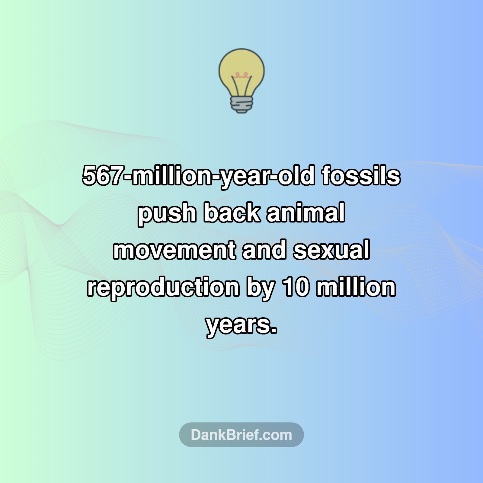 Ancient Life Rewritten!