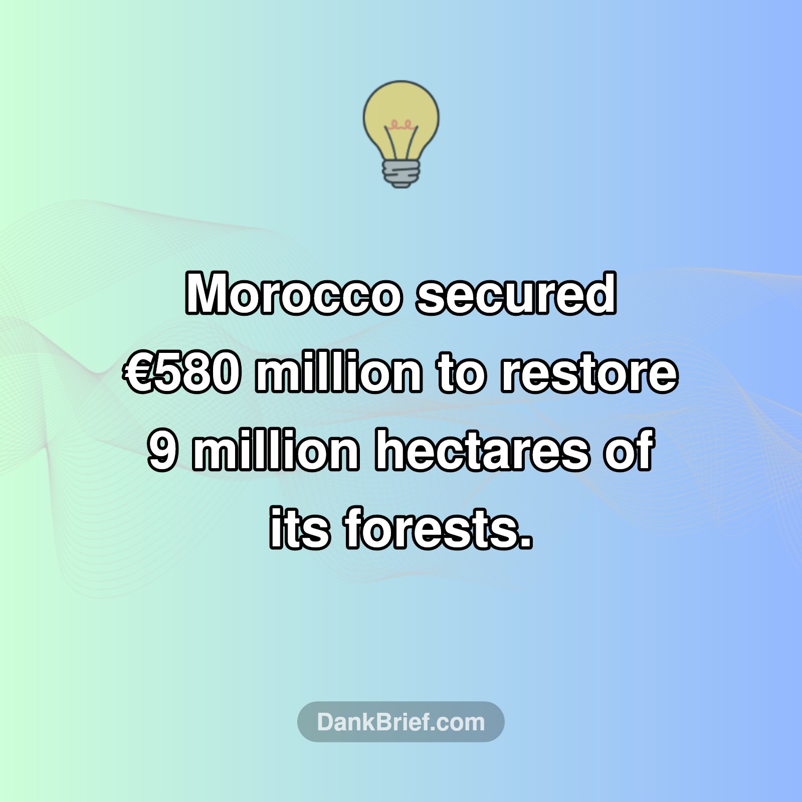 Morocco's Green Ambition