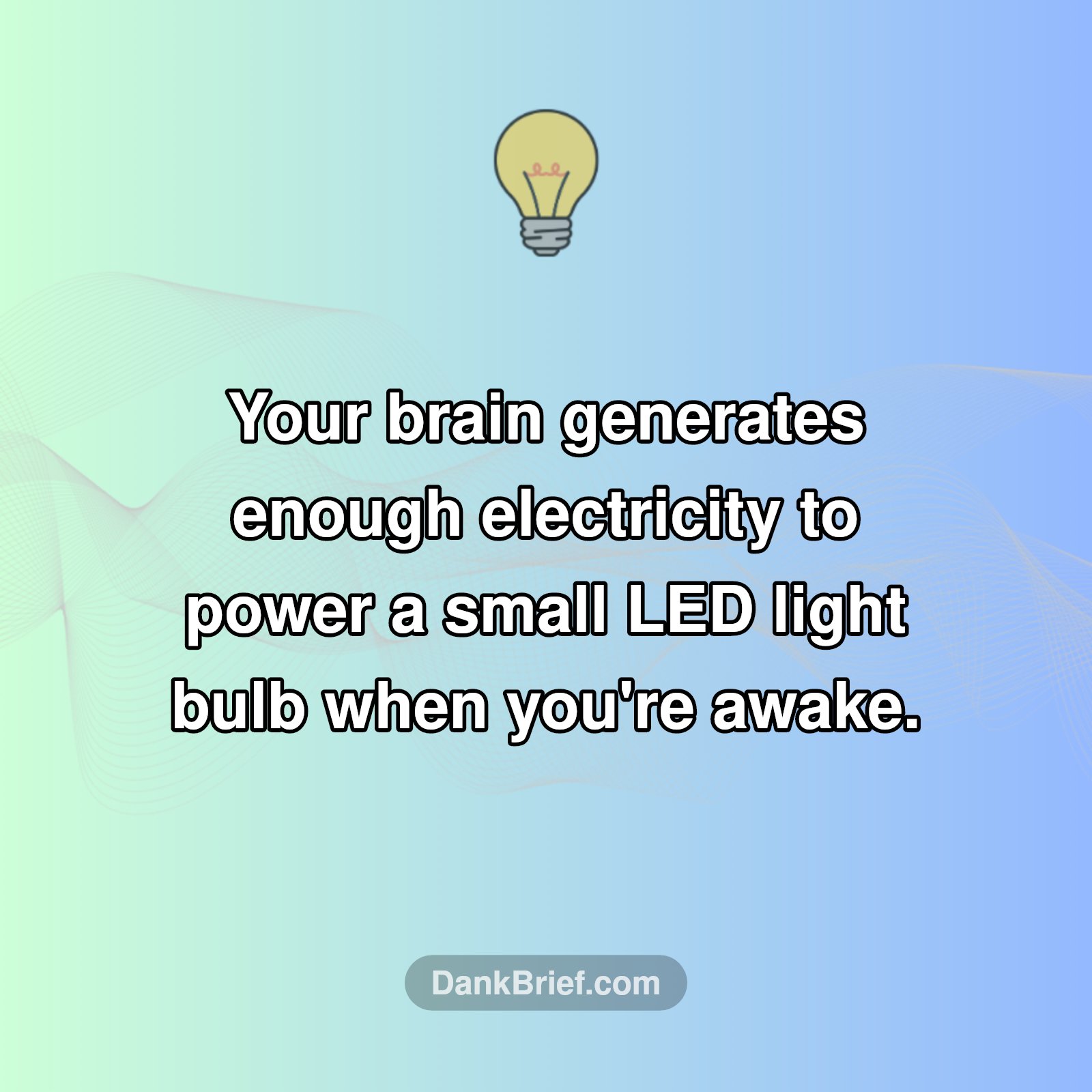 Your Brain's Secret Superpower!