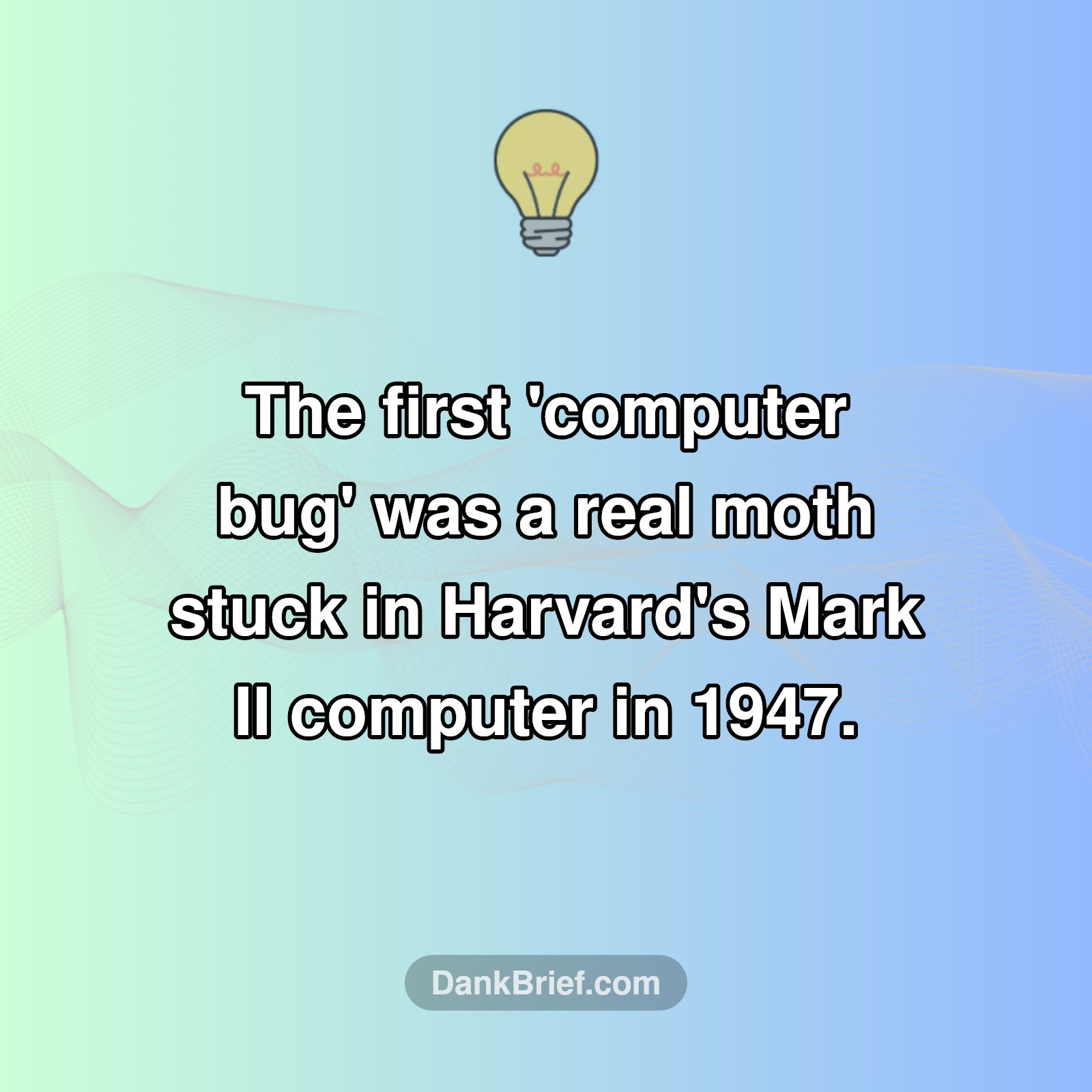 The Original 'Computer Bug' Was... A Literal Bug?!