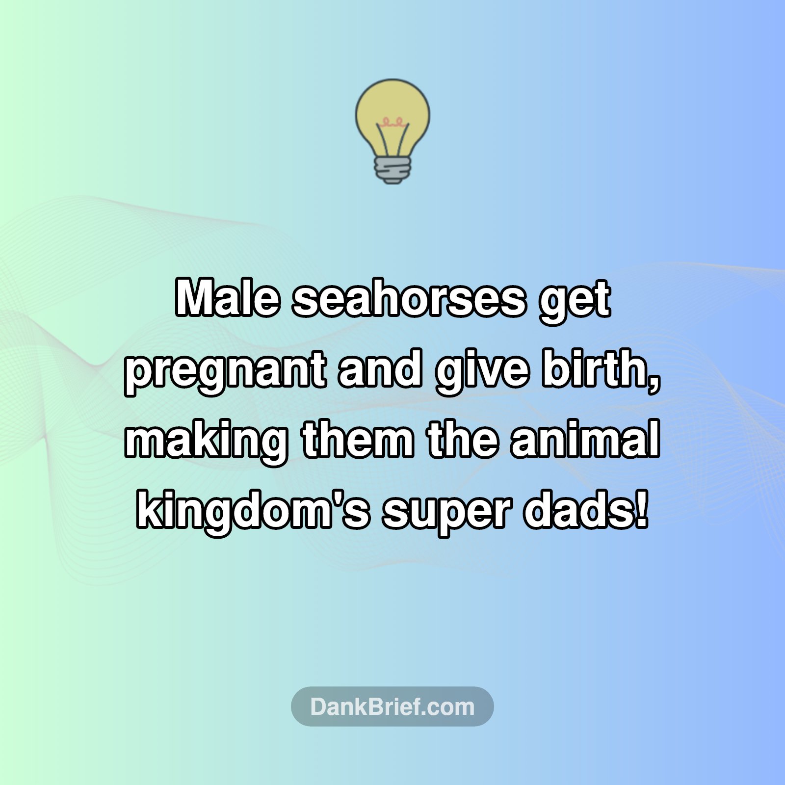 The Real Super Dads of the Sea