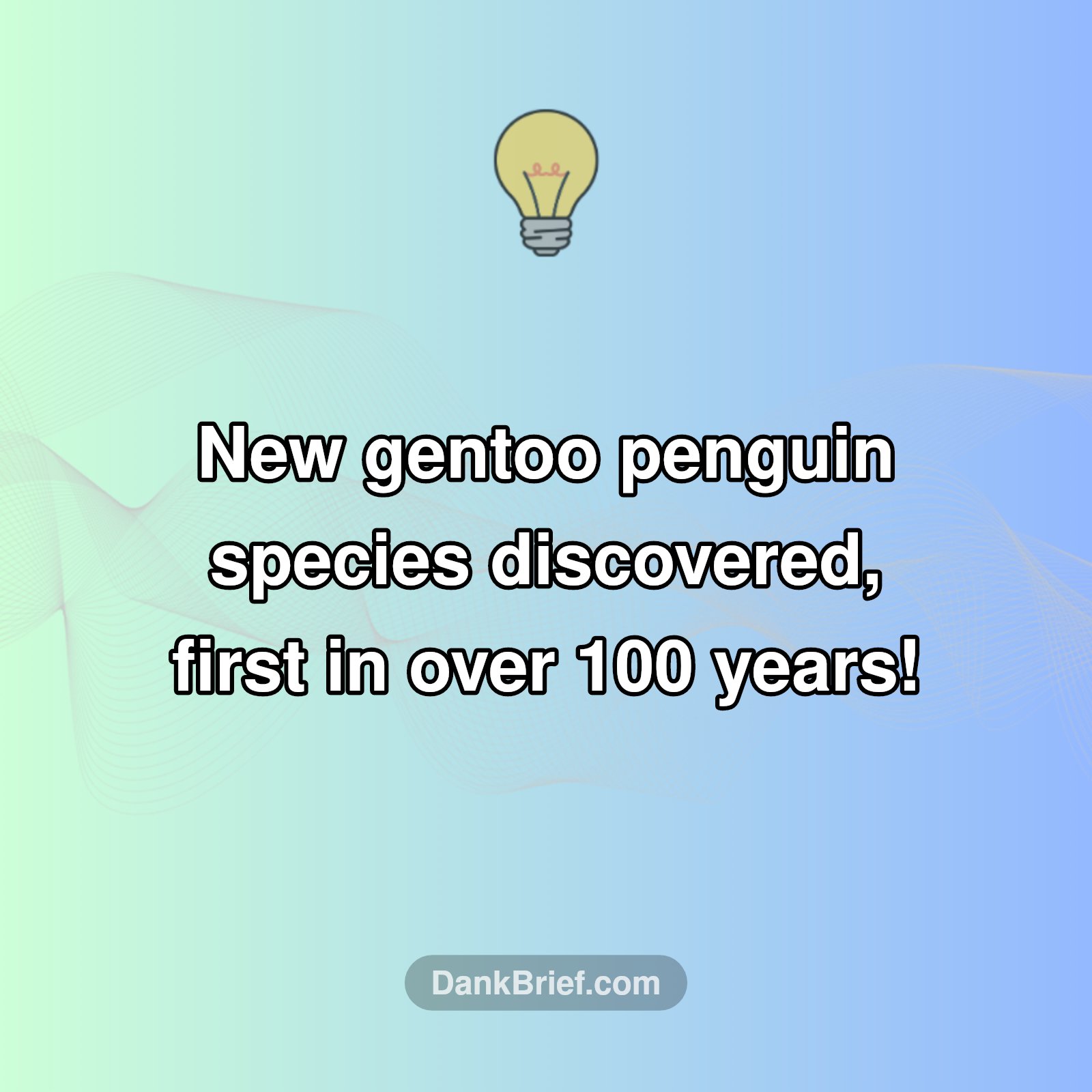 Mind Blown! A New Penguin Species!