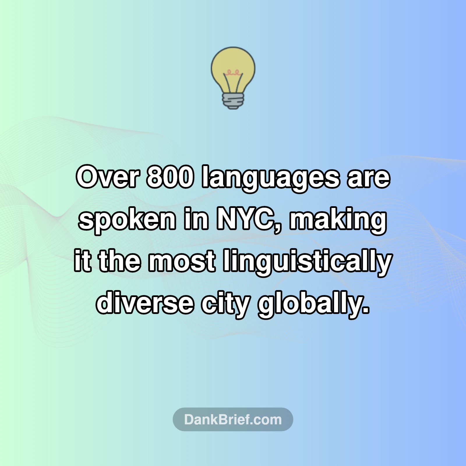 NYC's WILD Language Secret!