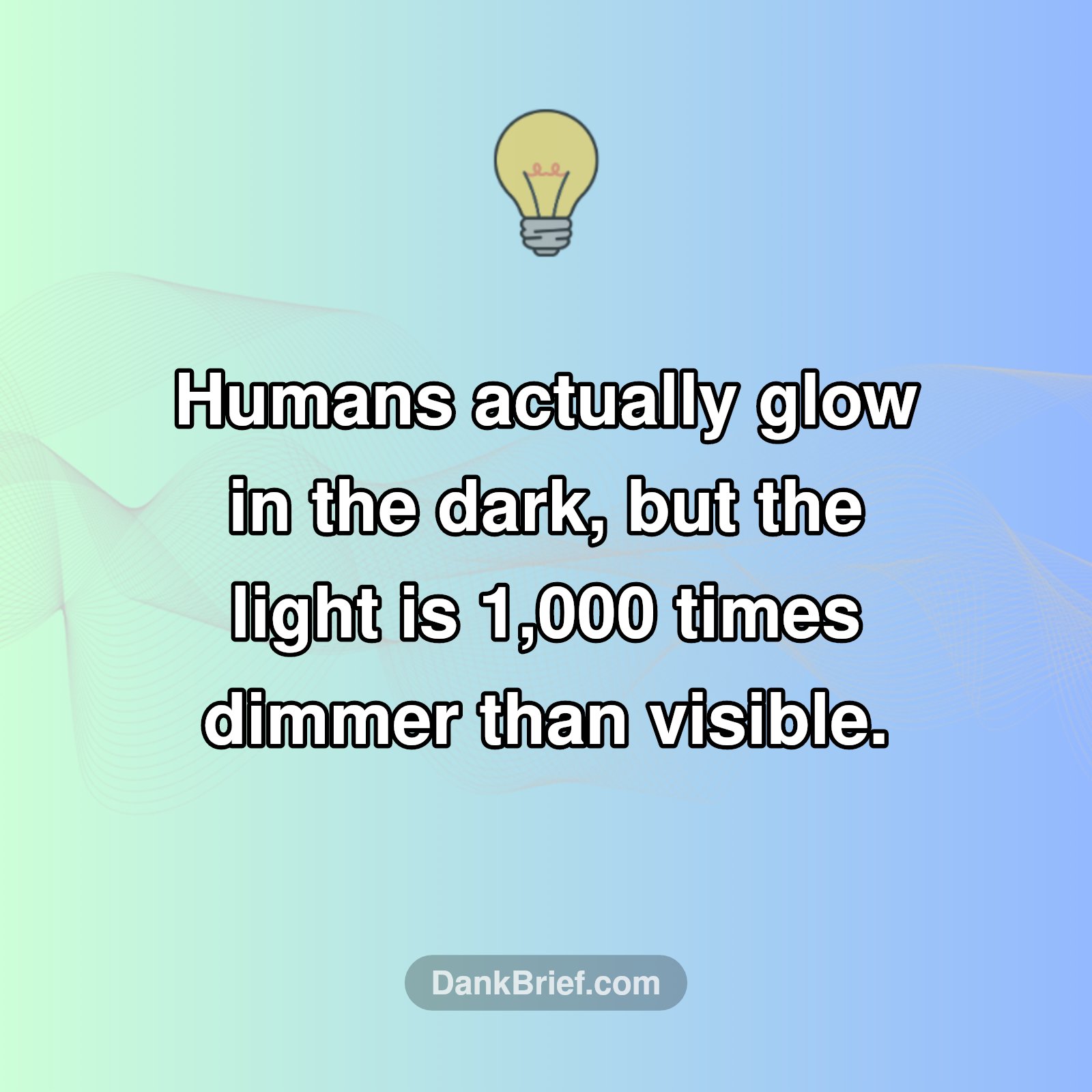 You're a Human Glow Stick?!