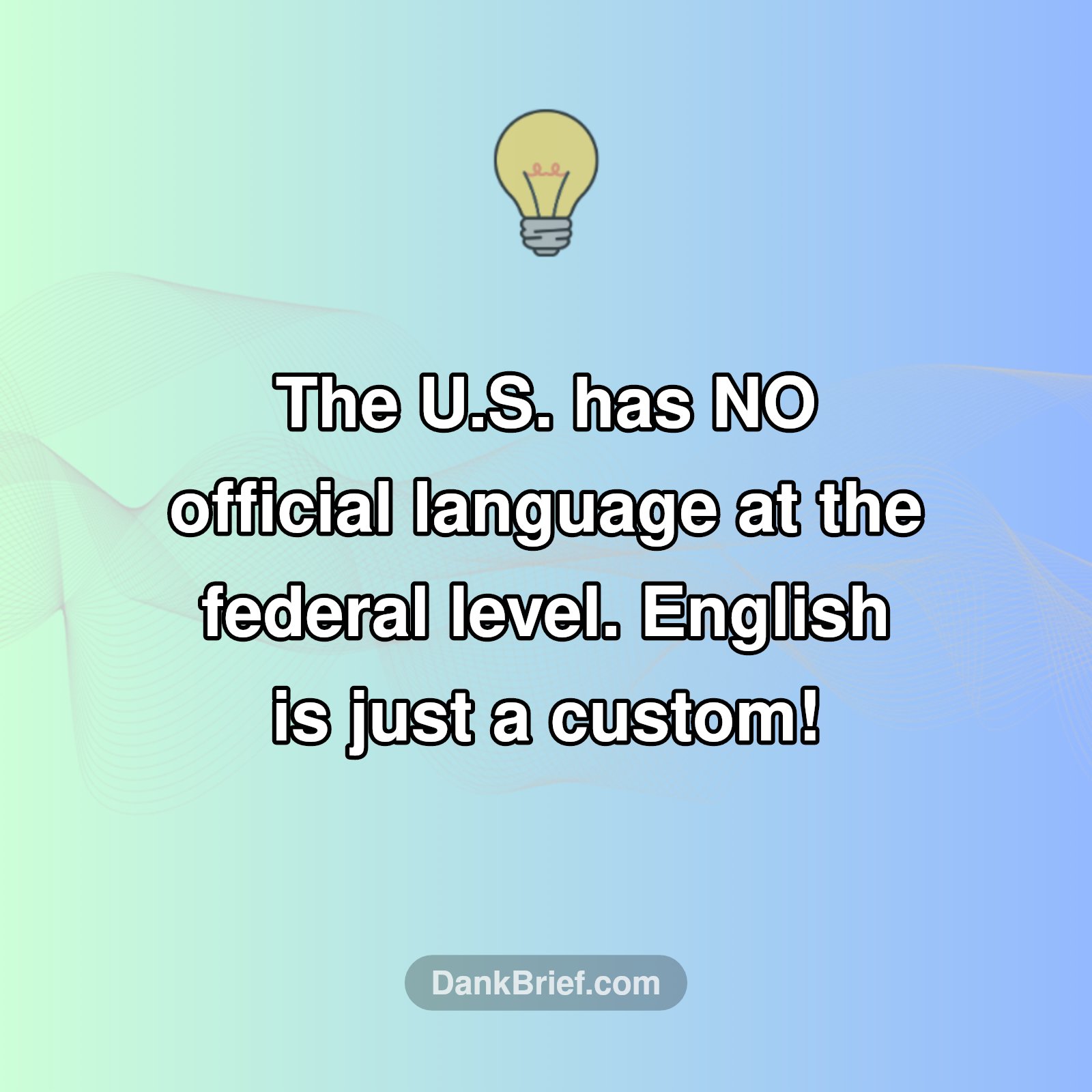 Mind Blown: US Language Secrets!